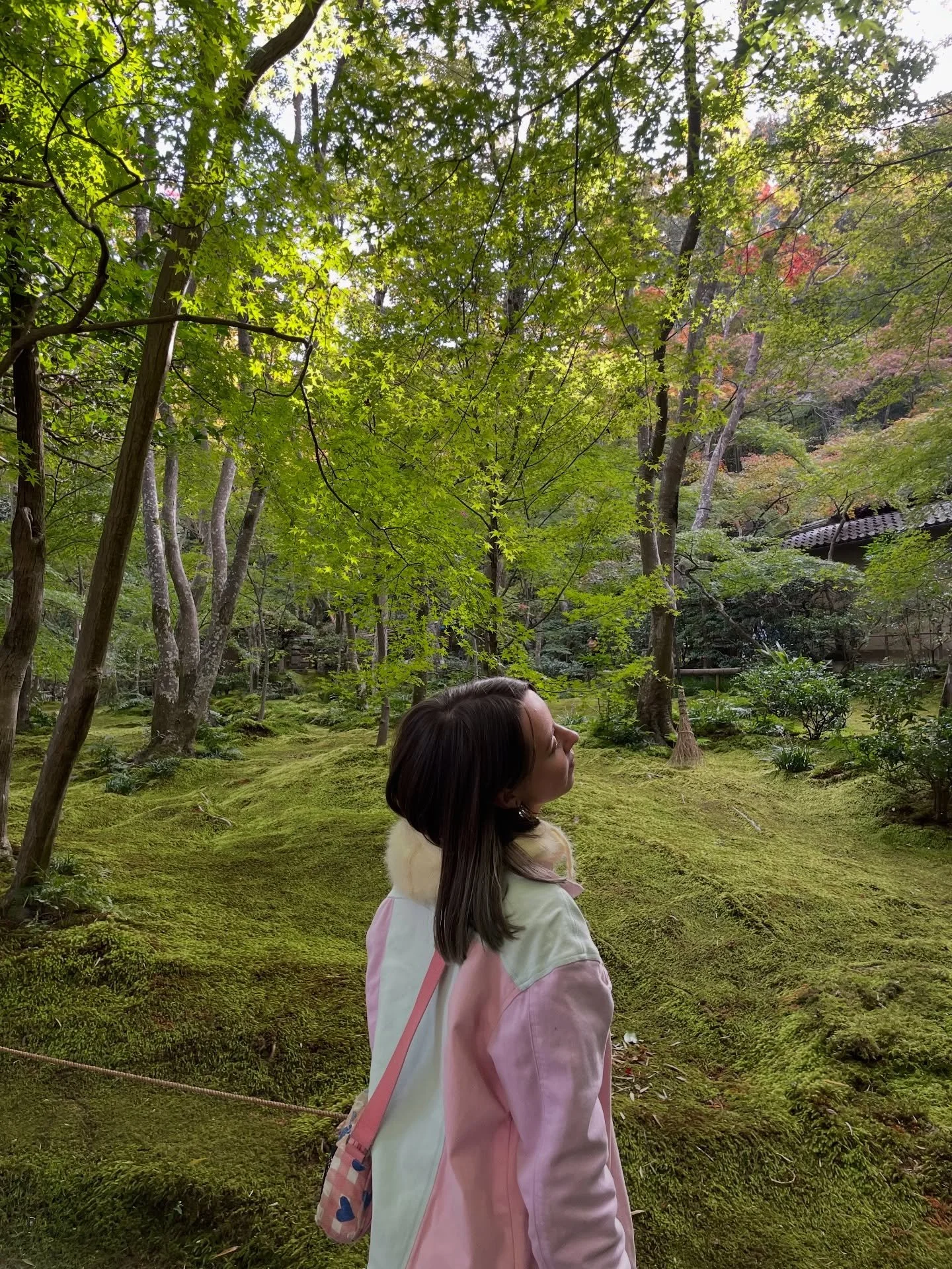 my new favourite colour is green 💚
memories from Kyoto during my little autumn trip to Japan in November 🍵 

#japan #kyoto #japantravels