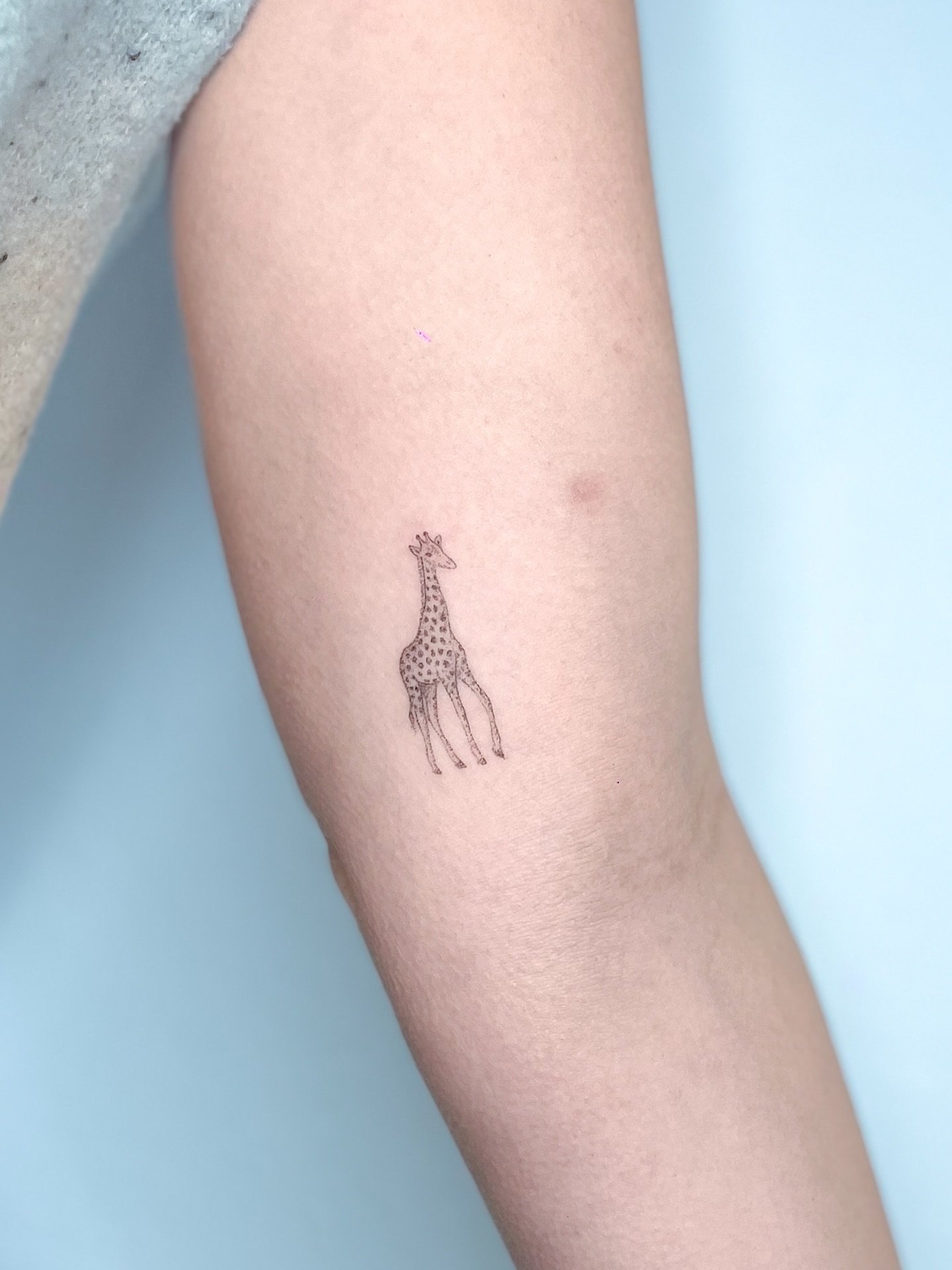 Handpoked recent ones 🩵
Taking bookings for last slots available + discounted flash designs available Jan/Feb in Brighton and 26th of Jan in London.

#handpoke #brightontattoo #londontattoo #finelinetattoo #handpokeartist