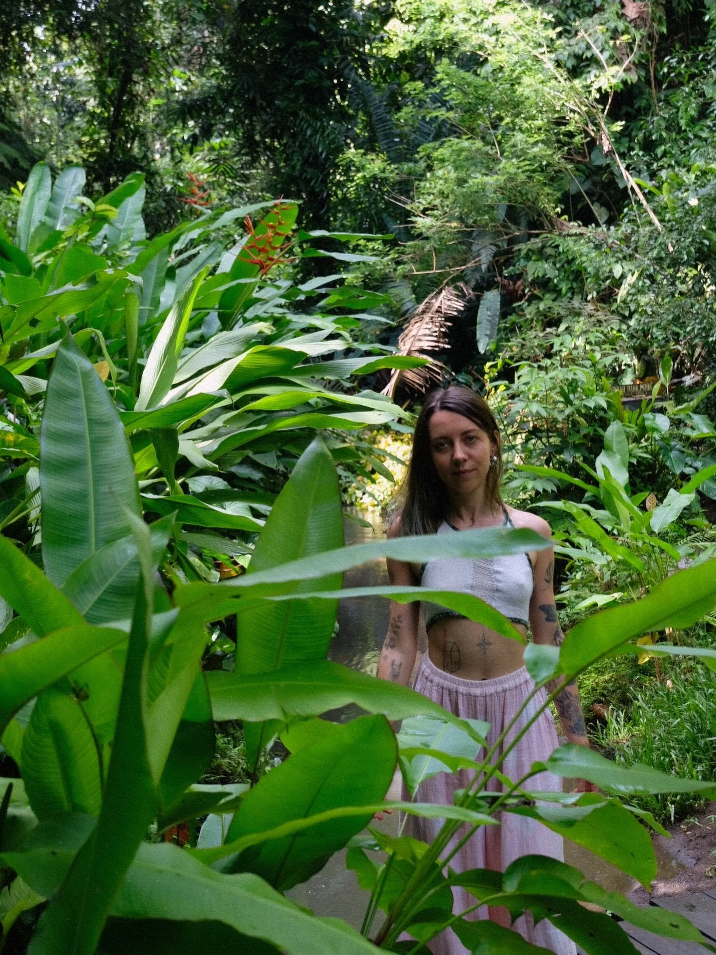 jungle 💚 the inspiration &amp; my happy place 🥹