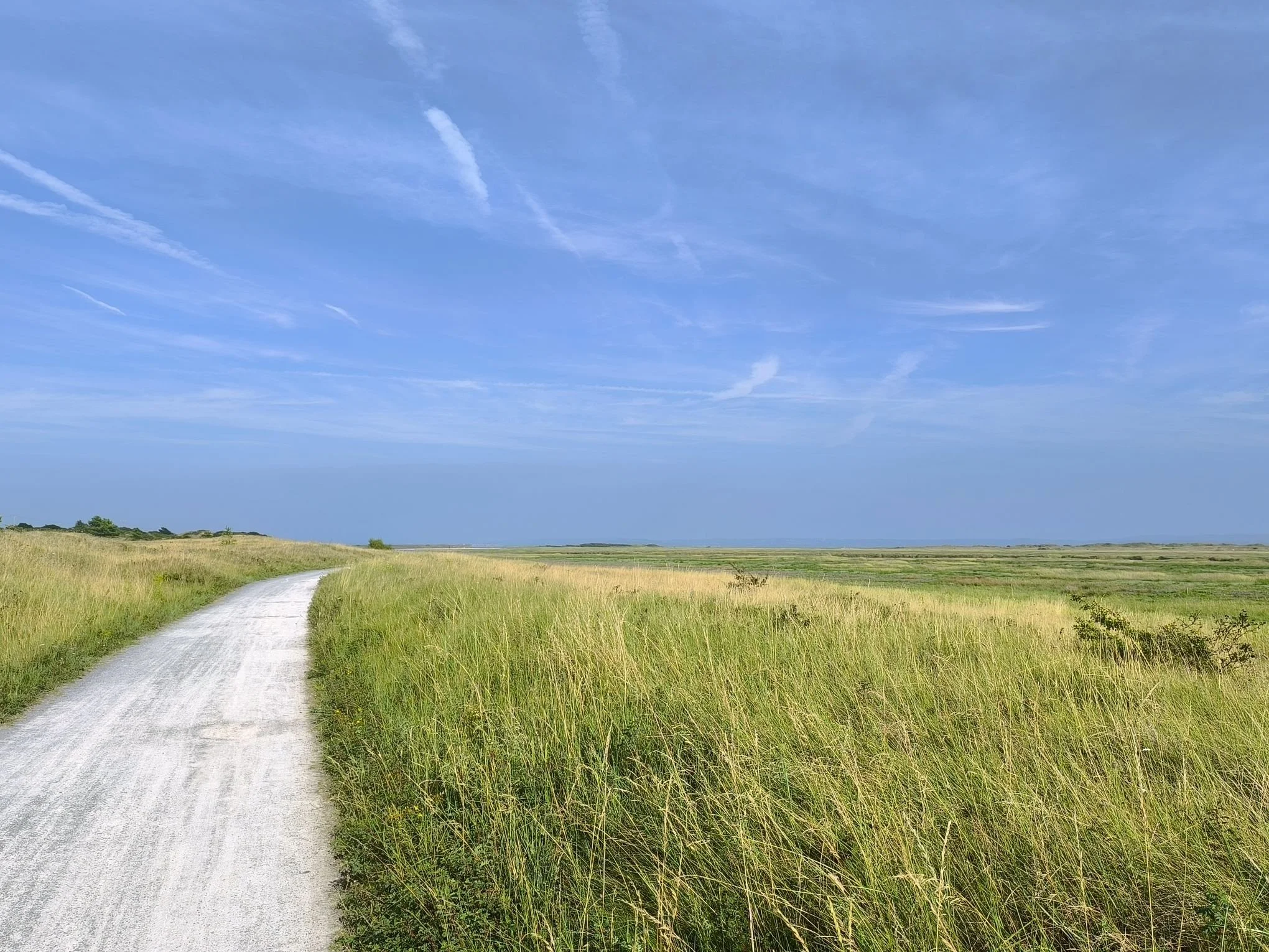 607936016_10240531924258320_6159315577119242986_n (1).jpg