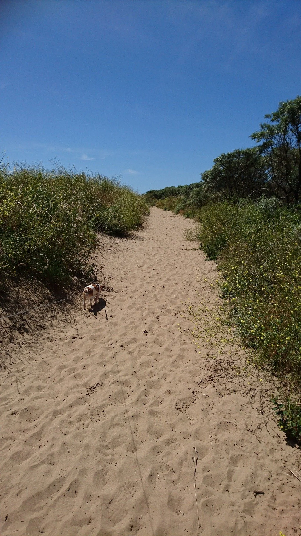 608516425_10240531975299596_140278636533486978_n (1).jpg