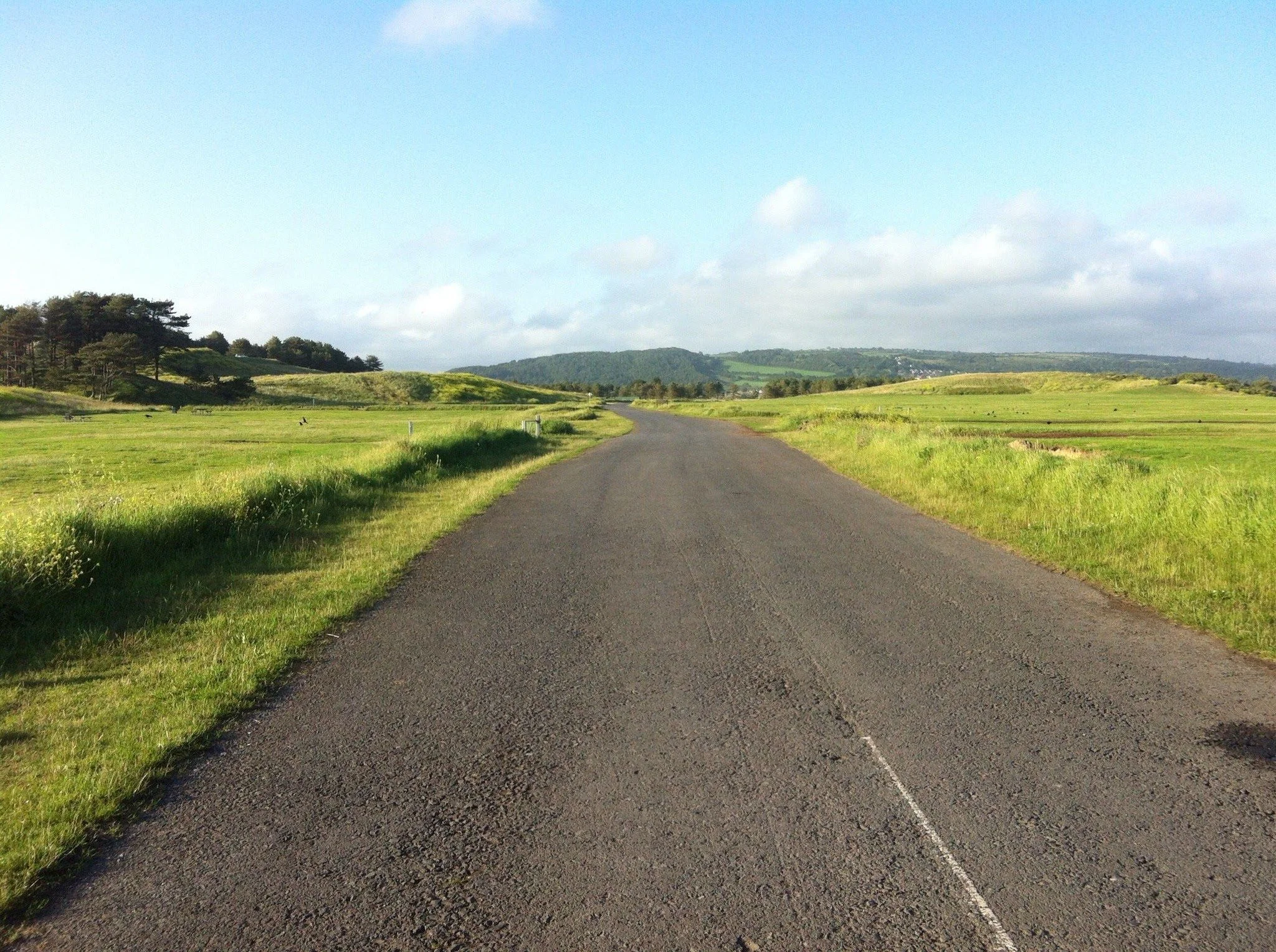 611153364_10240531969539452_3830089184328023738_n (1).jpg