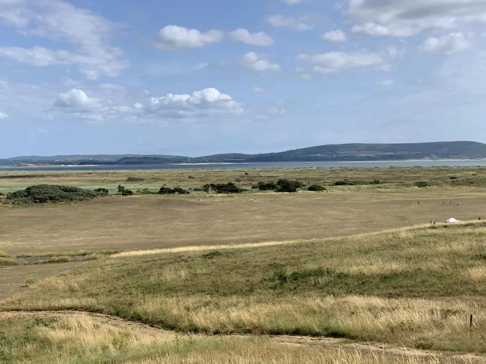 608555200_10161641625446582_7125777797683692771_n (1).jpg