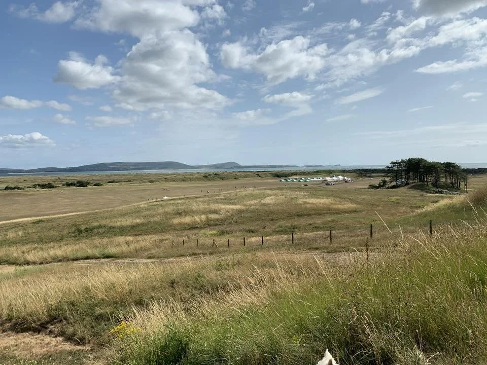 610665782_10161641625851582_7146276136499901966_n (1).jpg