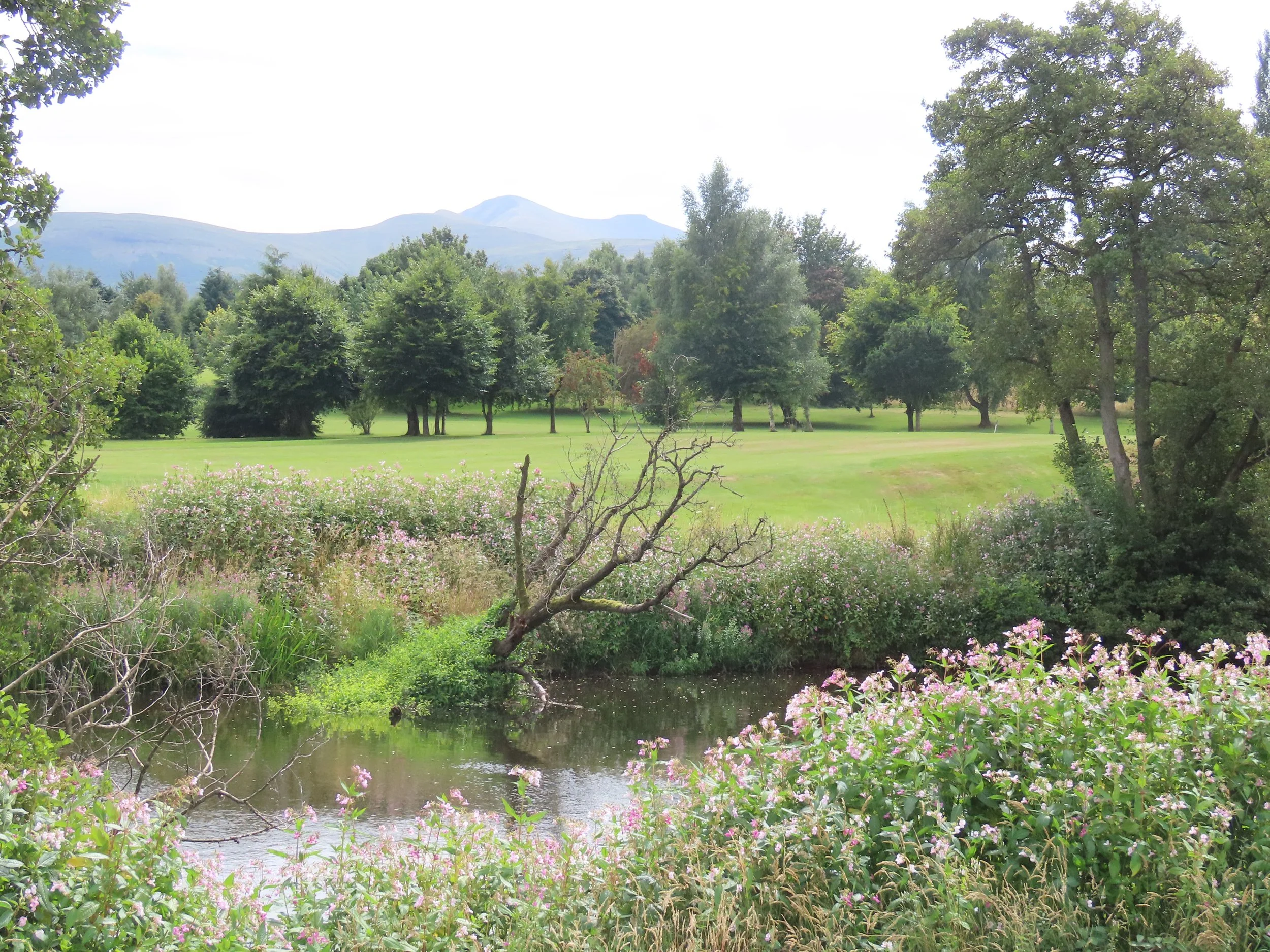 brecon-views_53907670502_o.jpg