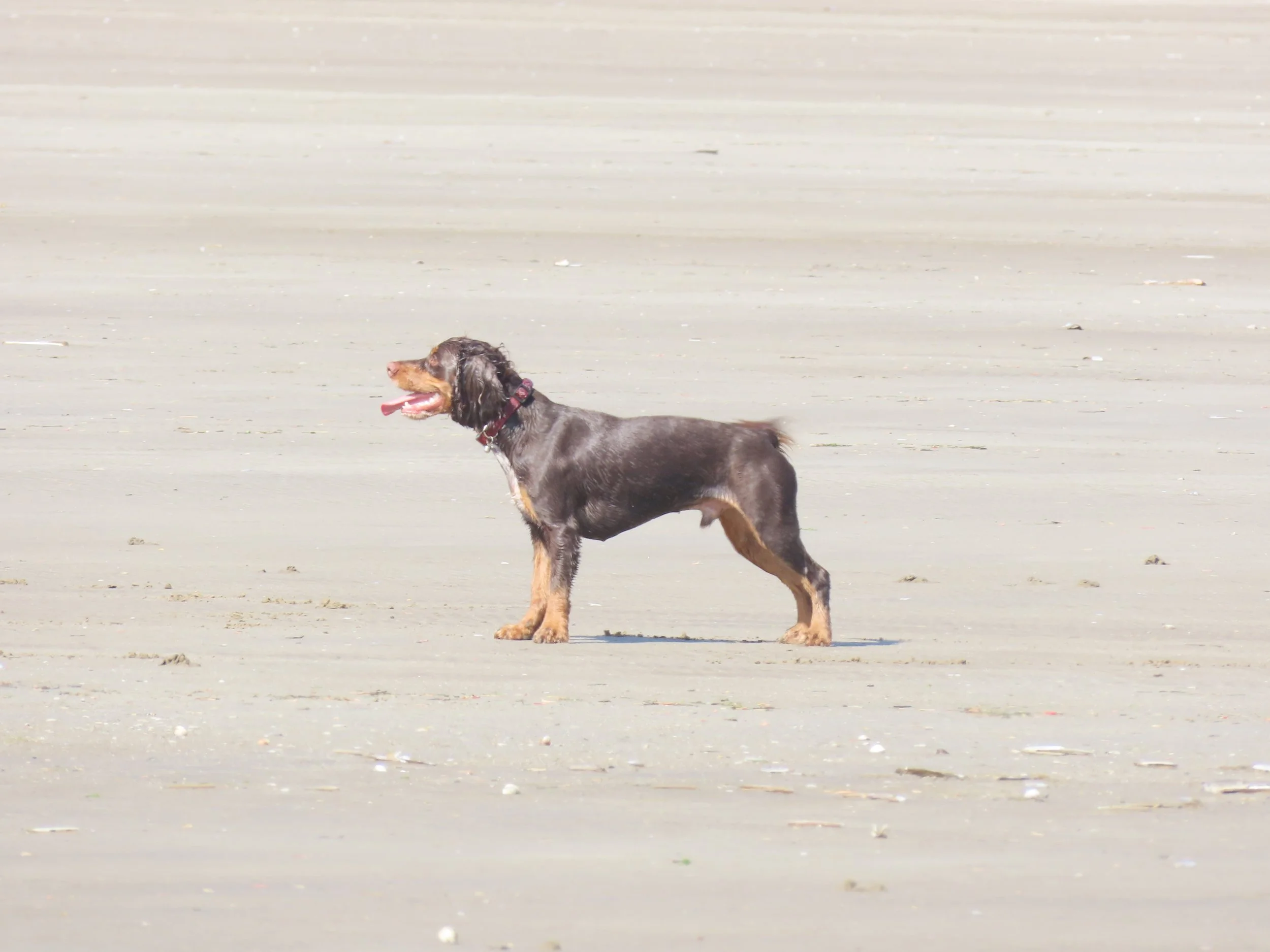 pembrey-country-park-visit_53888679162_o.jpg