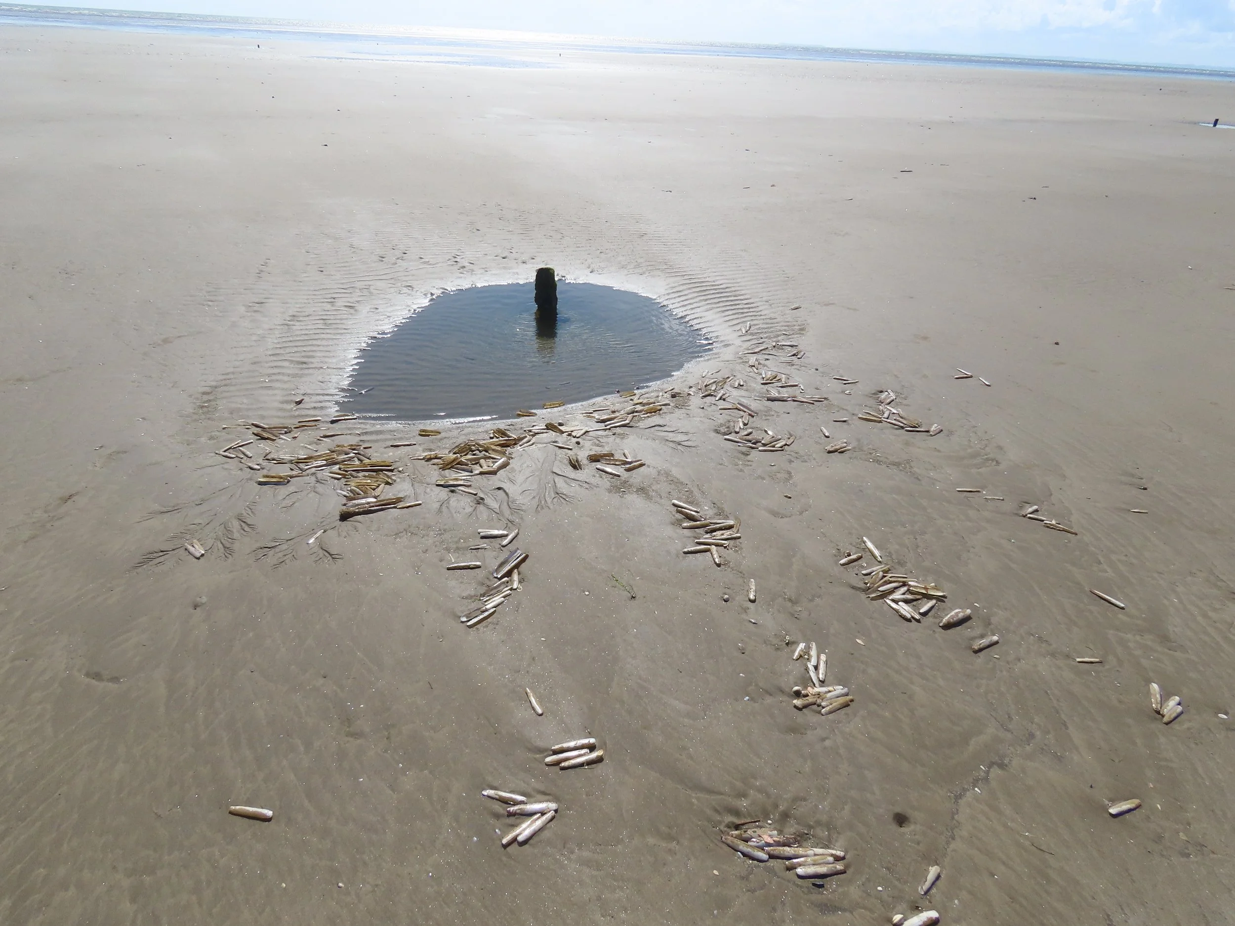 pembrey-country-park-visit_53889591471_o.jpg
