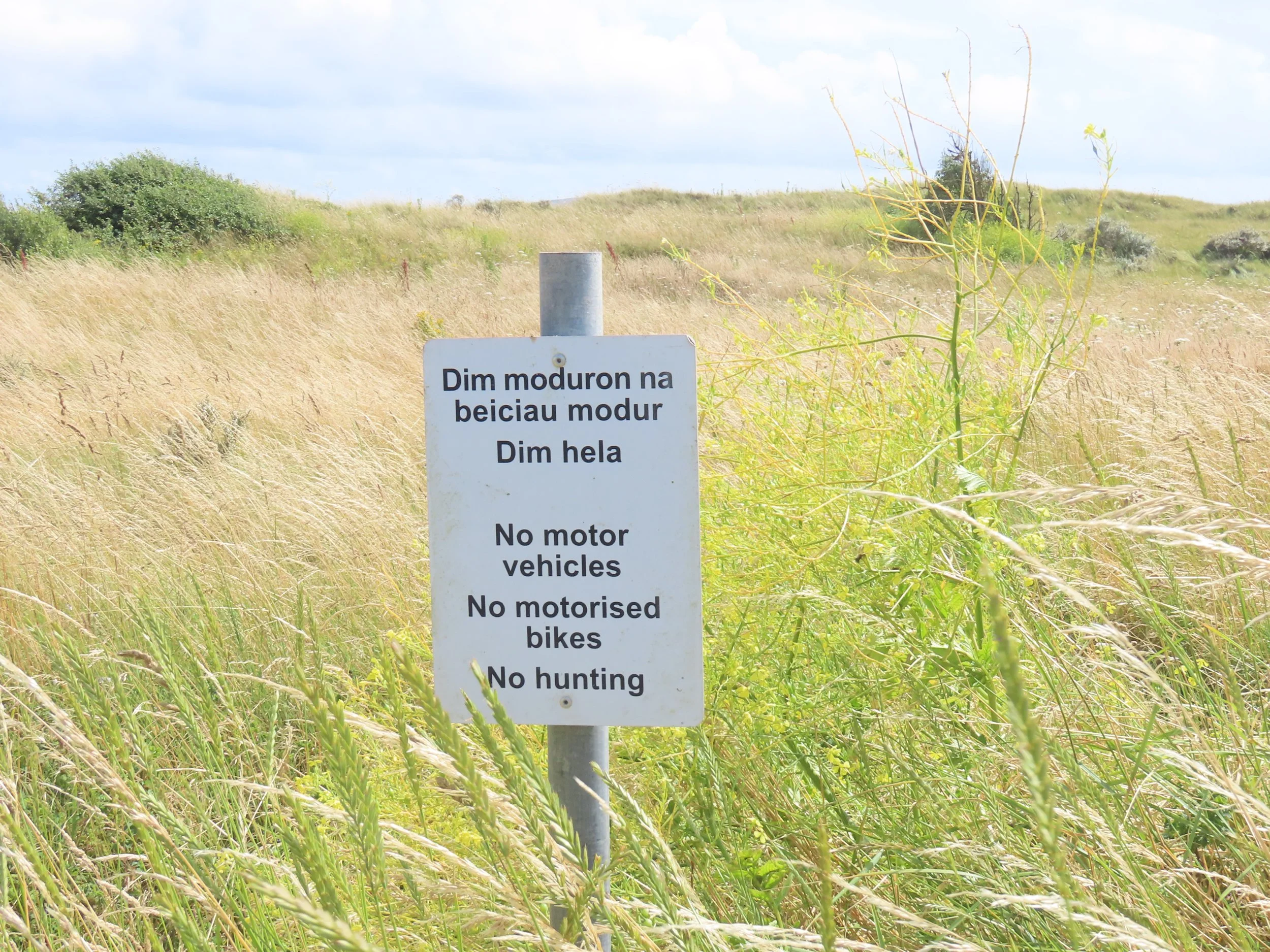 pembrey-country-park-visit_53889592066_o.jpg
