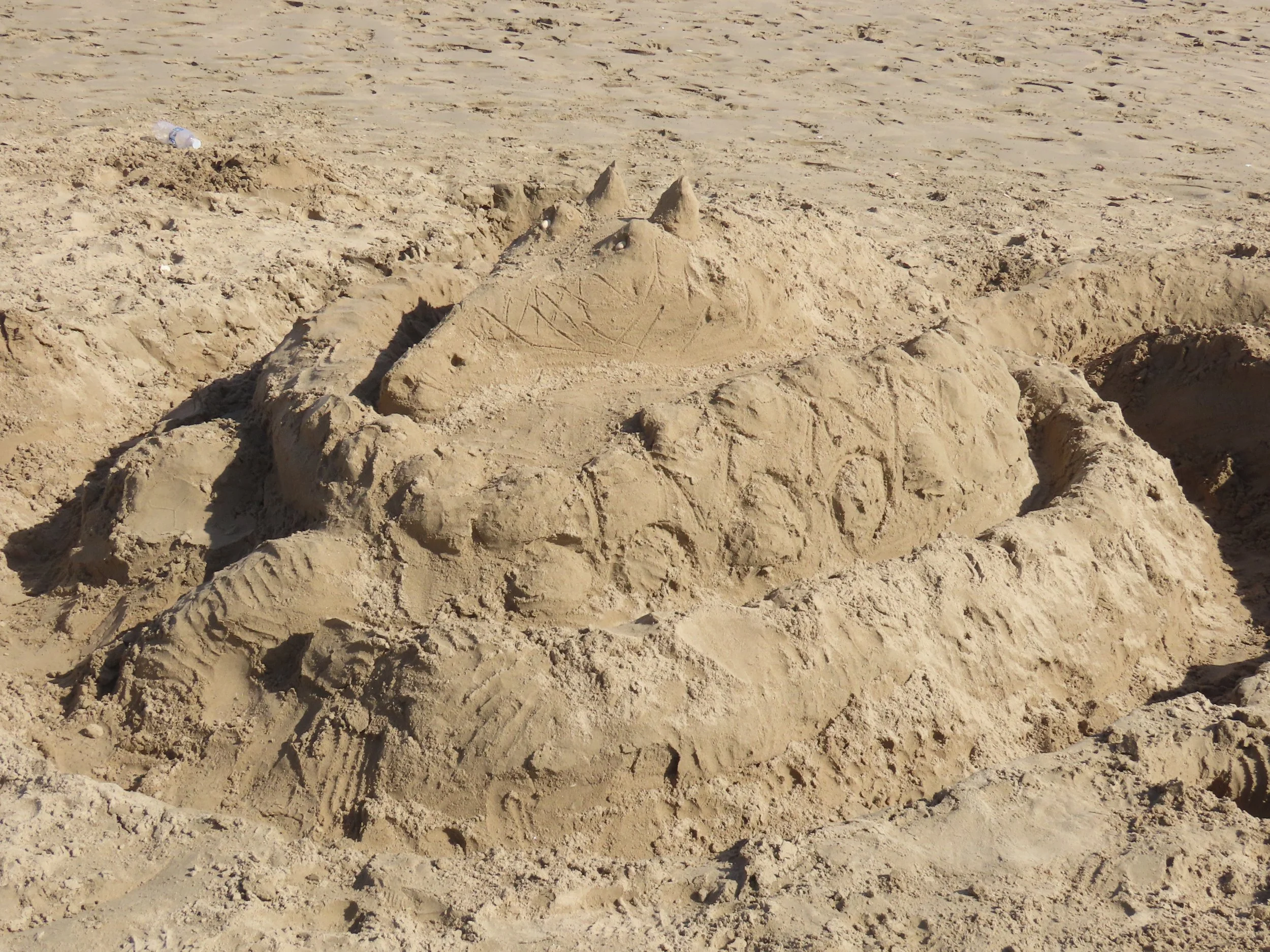 pembrey-country-park-visit_53889641351_o.jpg