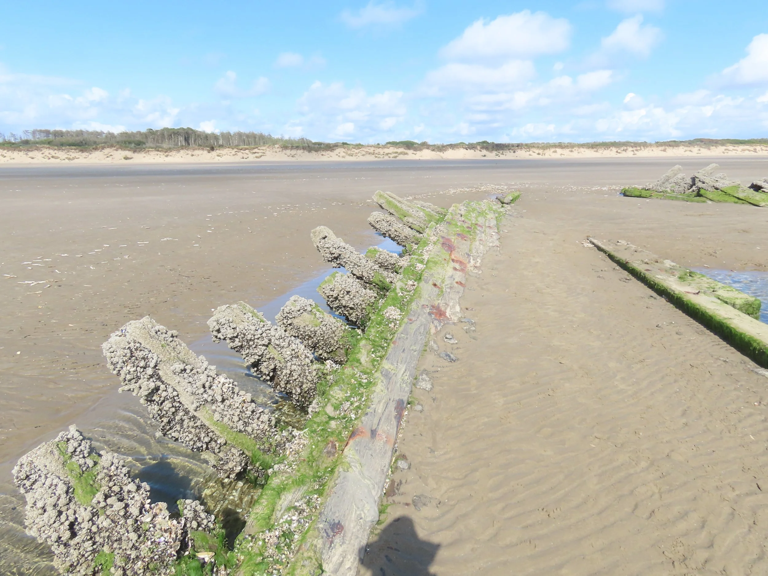 pembrey-country-park-visit_53889828283_o.jpg