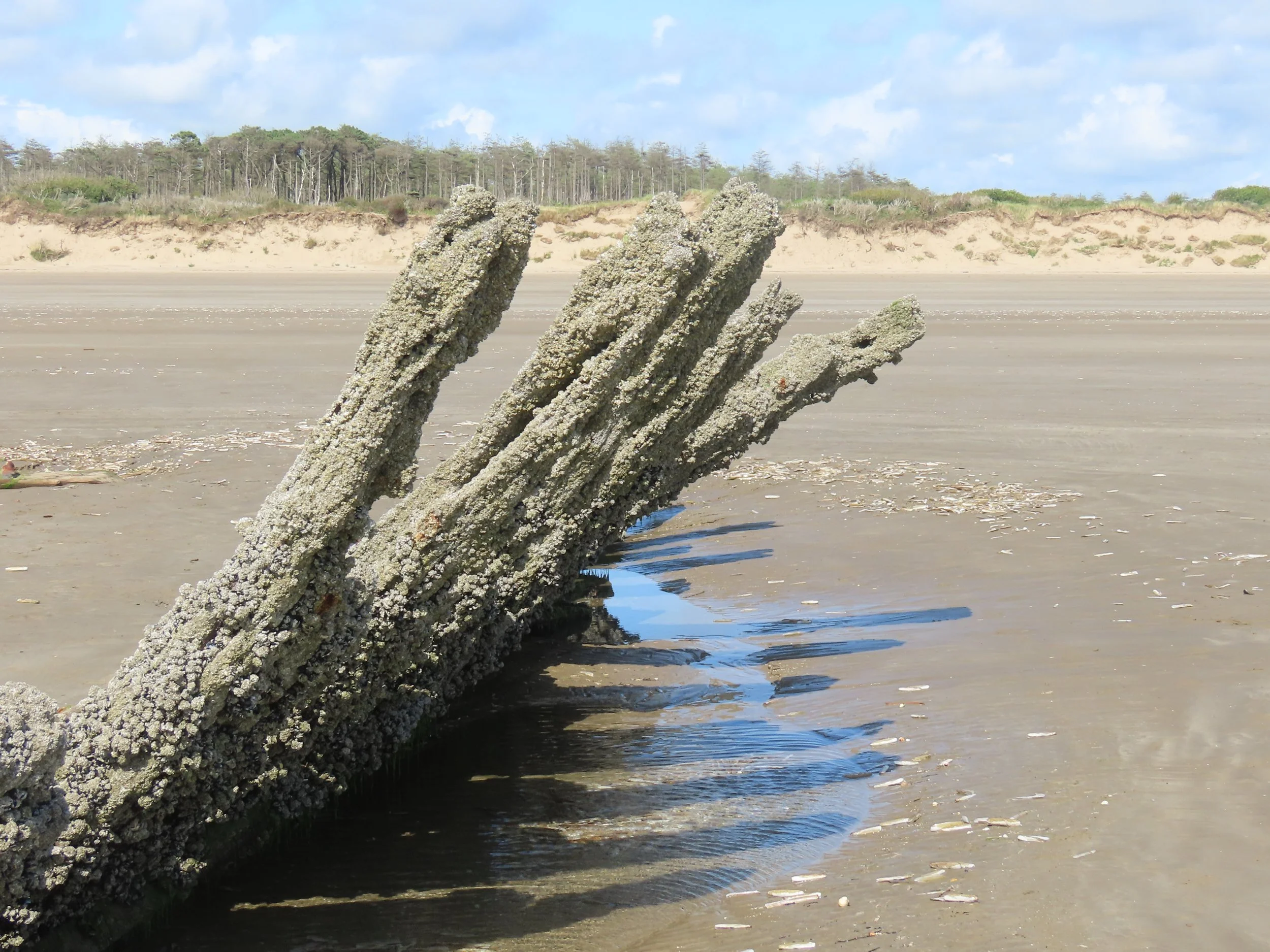 pembrey-country-park-visit_53889828308_o.jpg