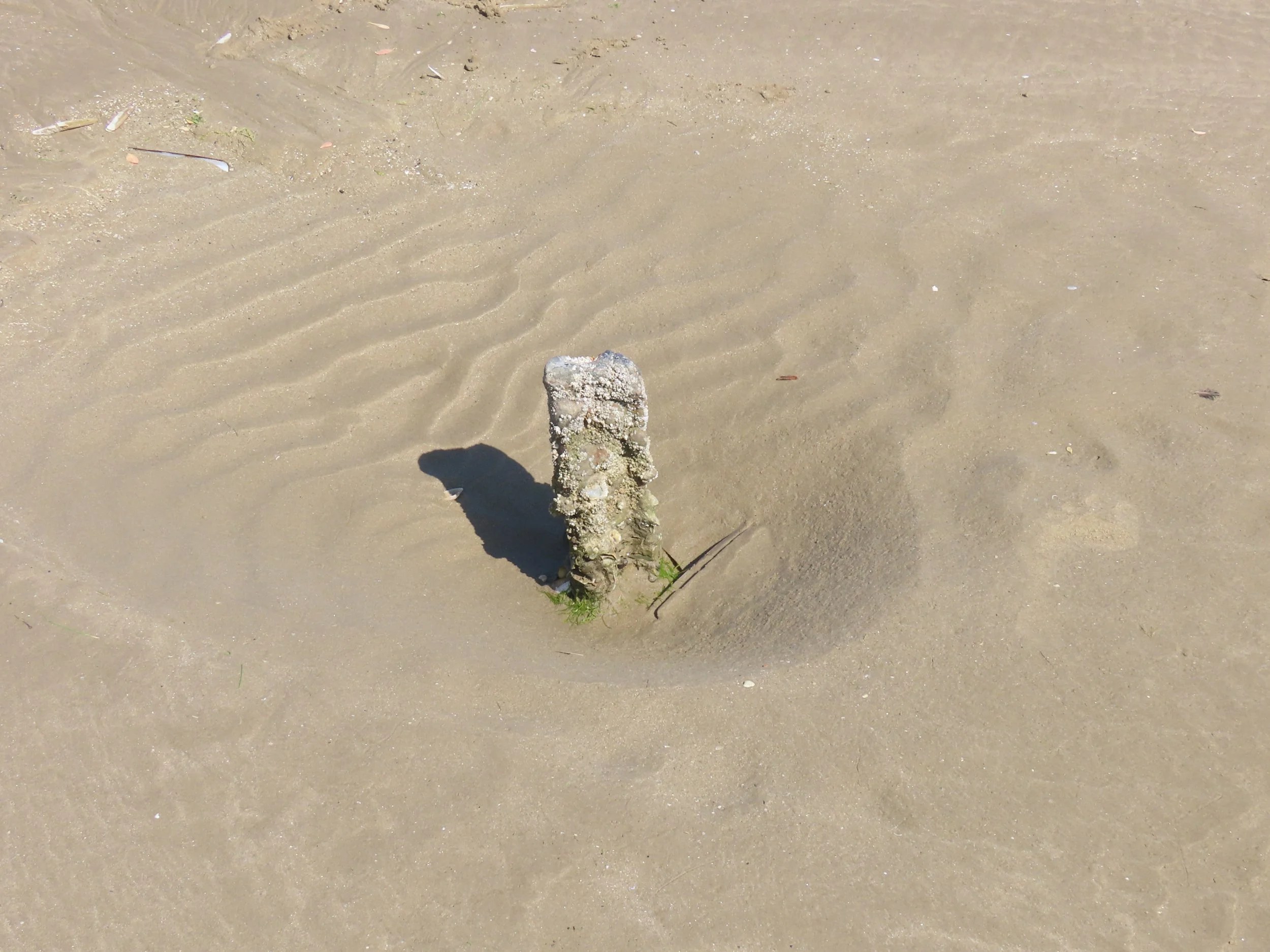 pembrey-country-park-visit_53889828823_o.jpg