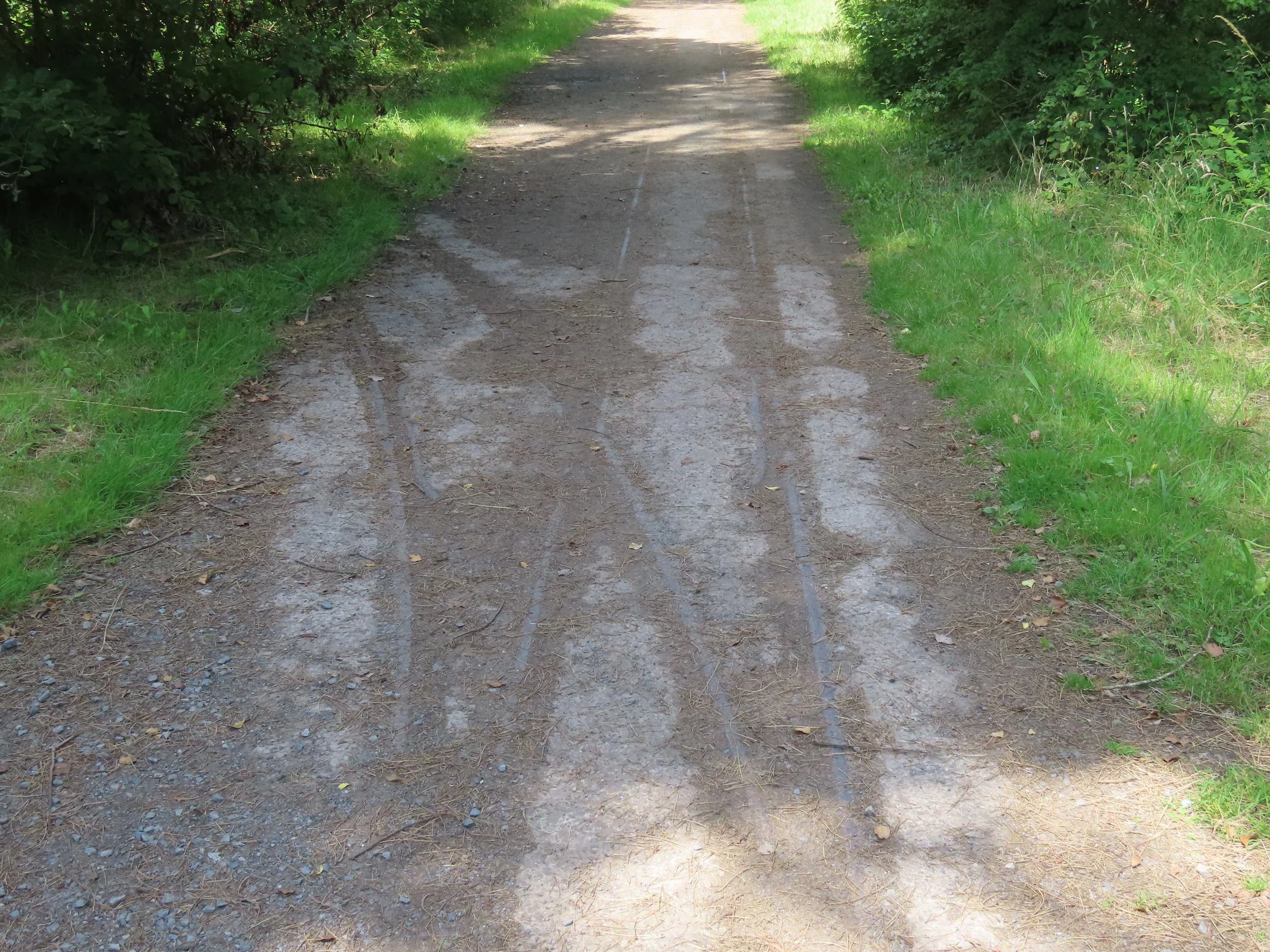 pembrey-country-park-visit_53889876593_o.jpg