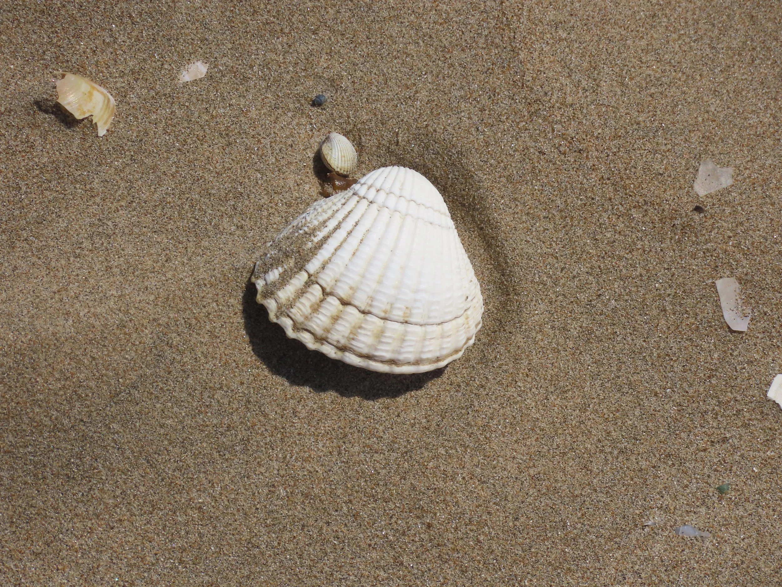 pembrey-country-park-visit_53889932159_o.jpg