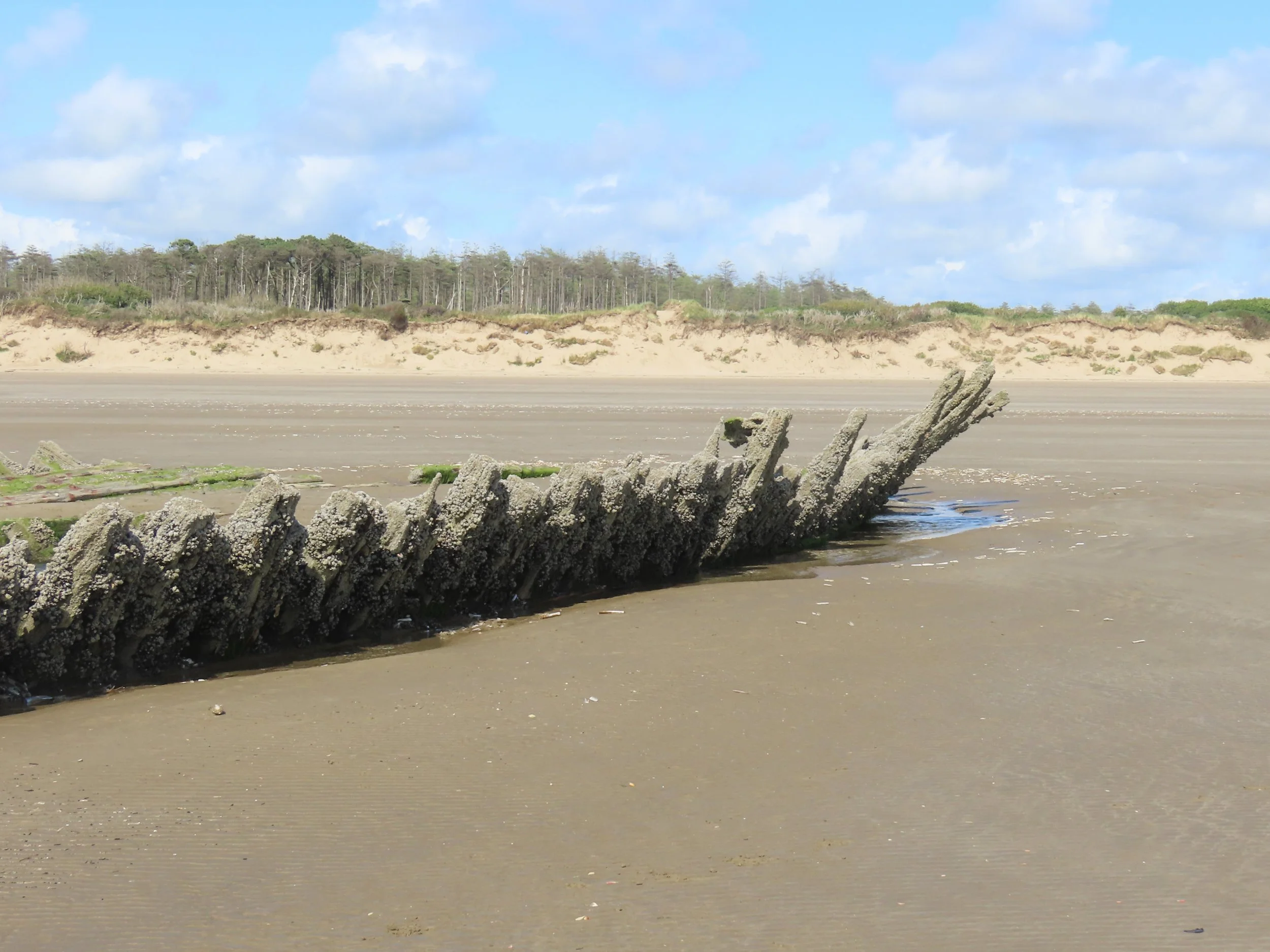 pembrey-country-park-visit_53890013190_o.jpg