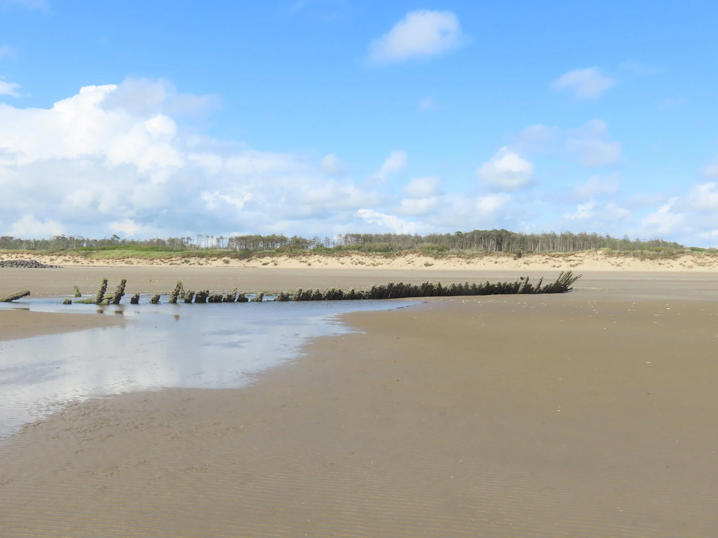 pembrey-country-park-visit_53890013400_o.jpg