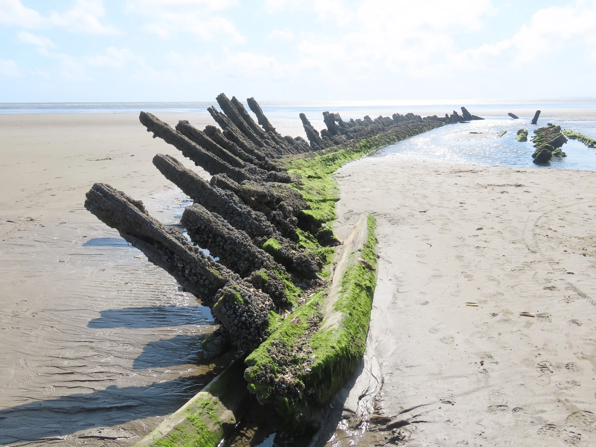 pembrey-country-park-visit_53890013225_o.jpg