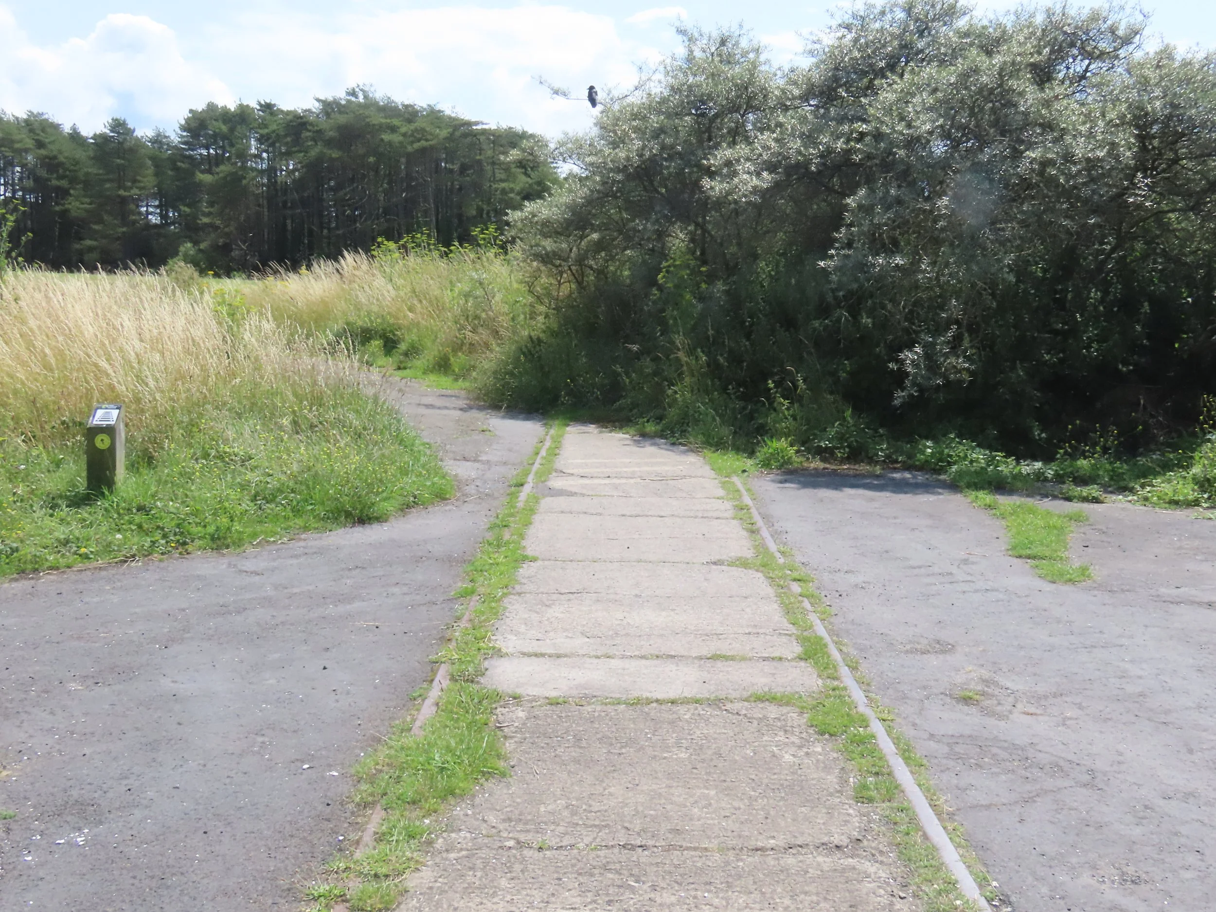pembrey-country-park-visit_53890061250_o.jpg