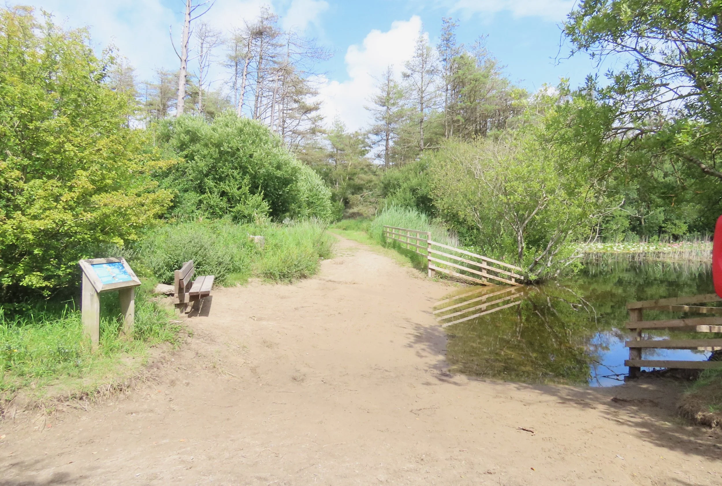 pembrey-country-park-visit_53890546442_o.jpg