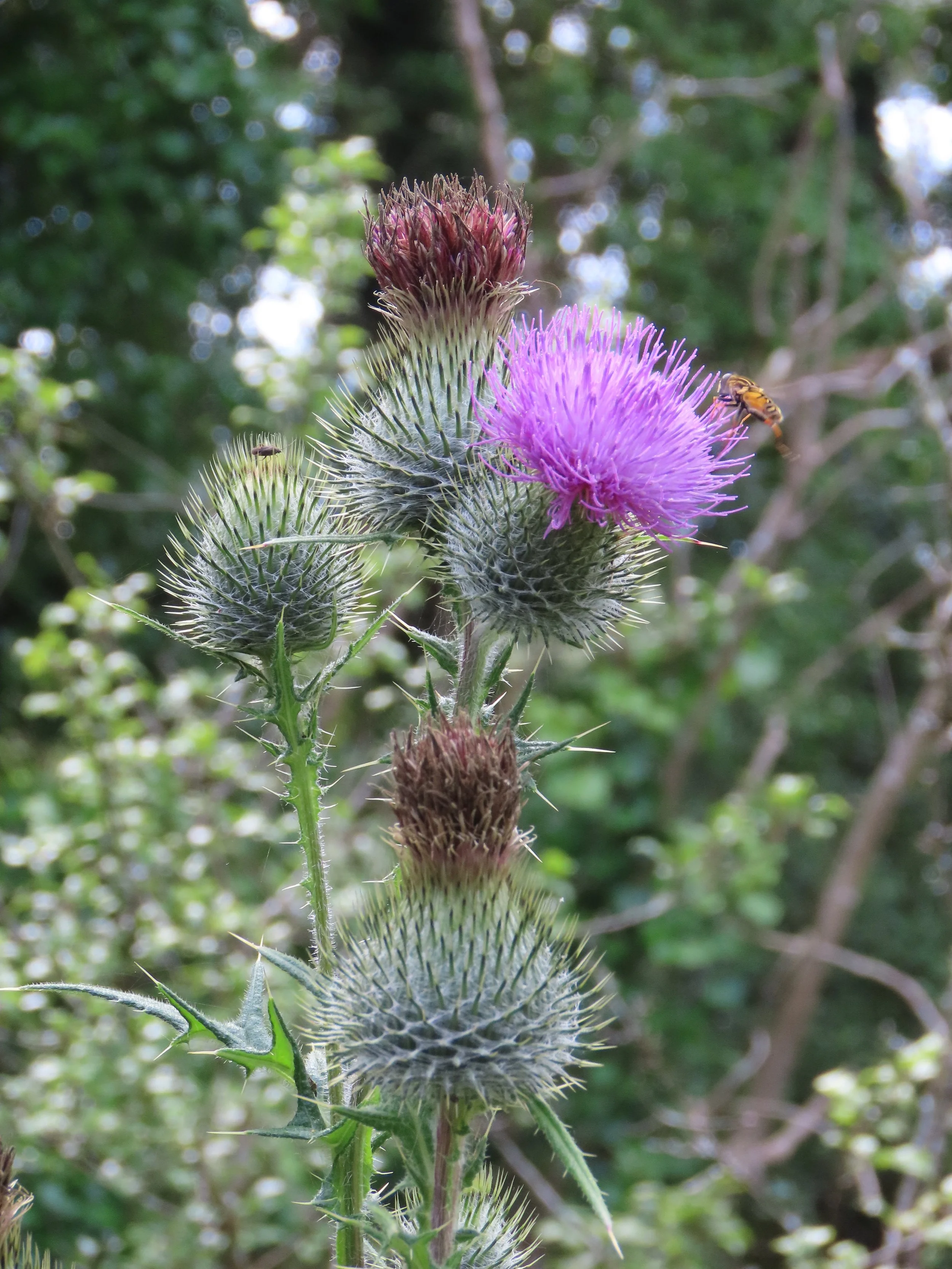 pembrey-country-park-visit_53890546827_o.jpg