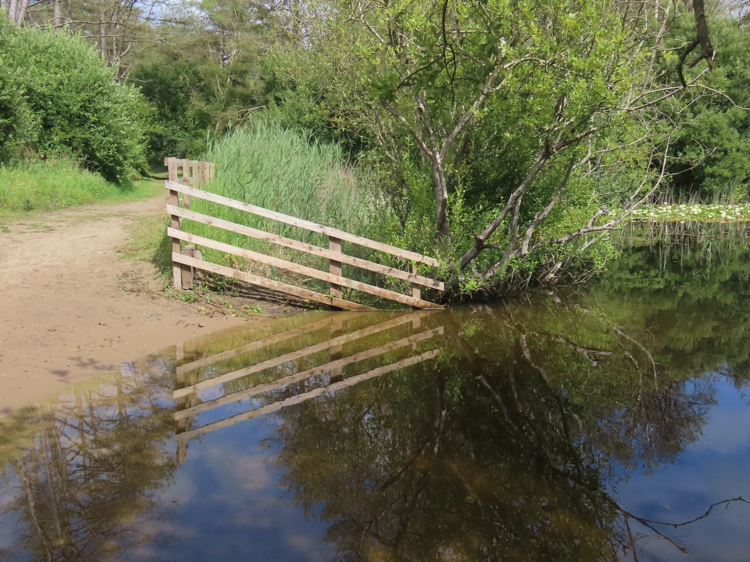 pembrey-country-park-visit_53890548522_o.jpg