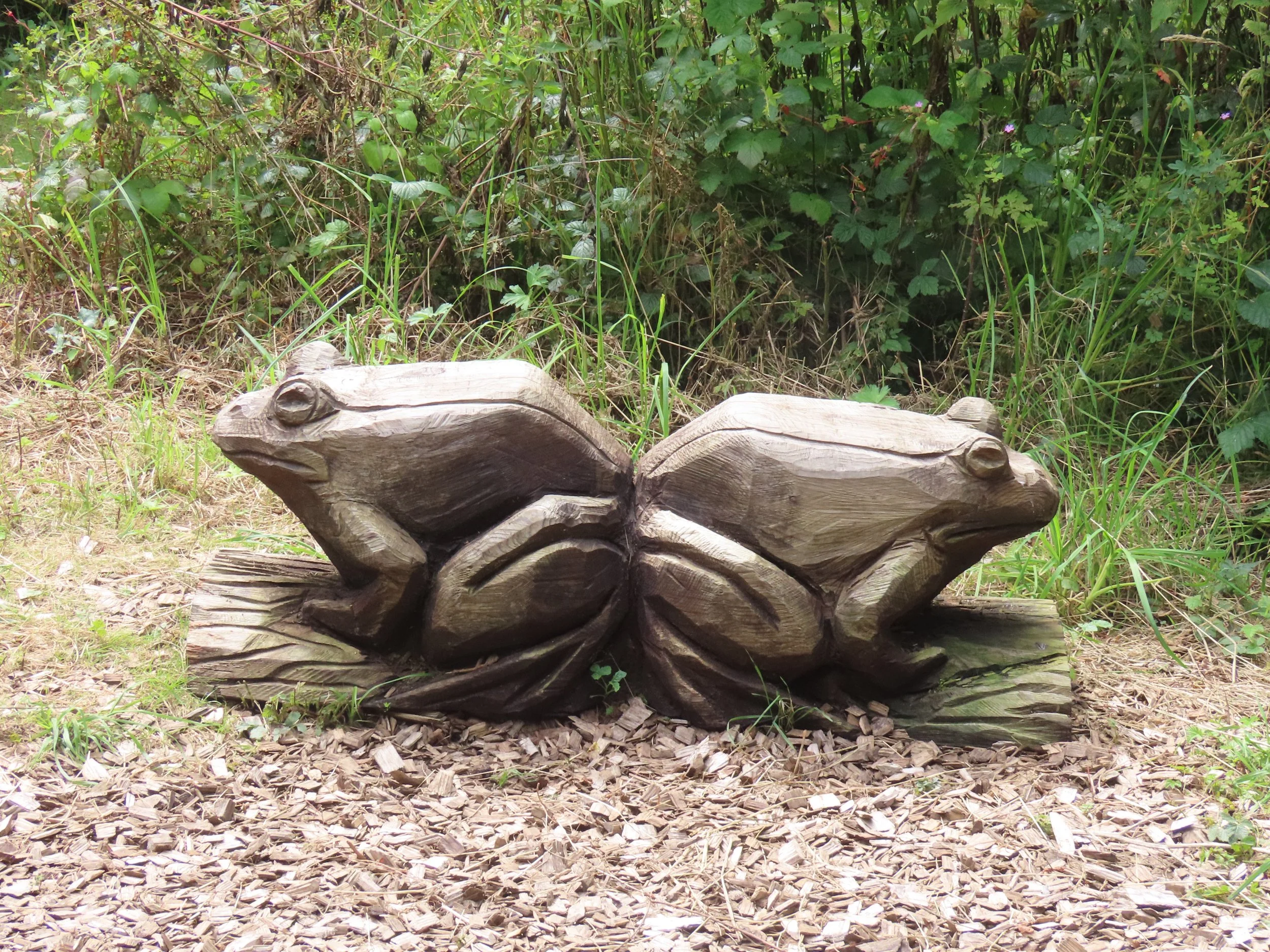 pembrey-country-park-visit_53891463561_o.jpg