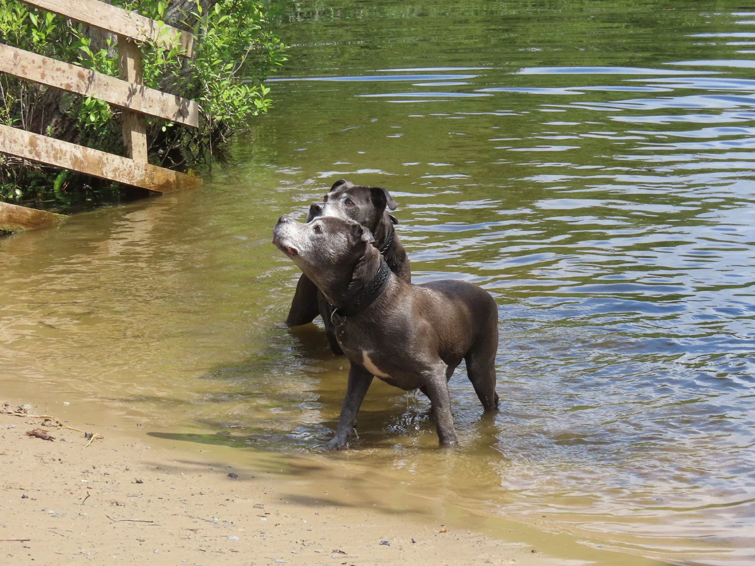 pembrey-country-park-visit_53891464696_o.jpg