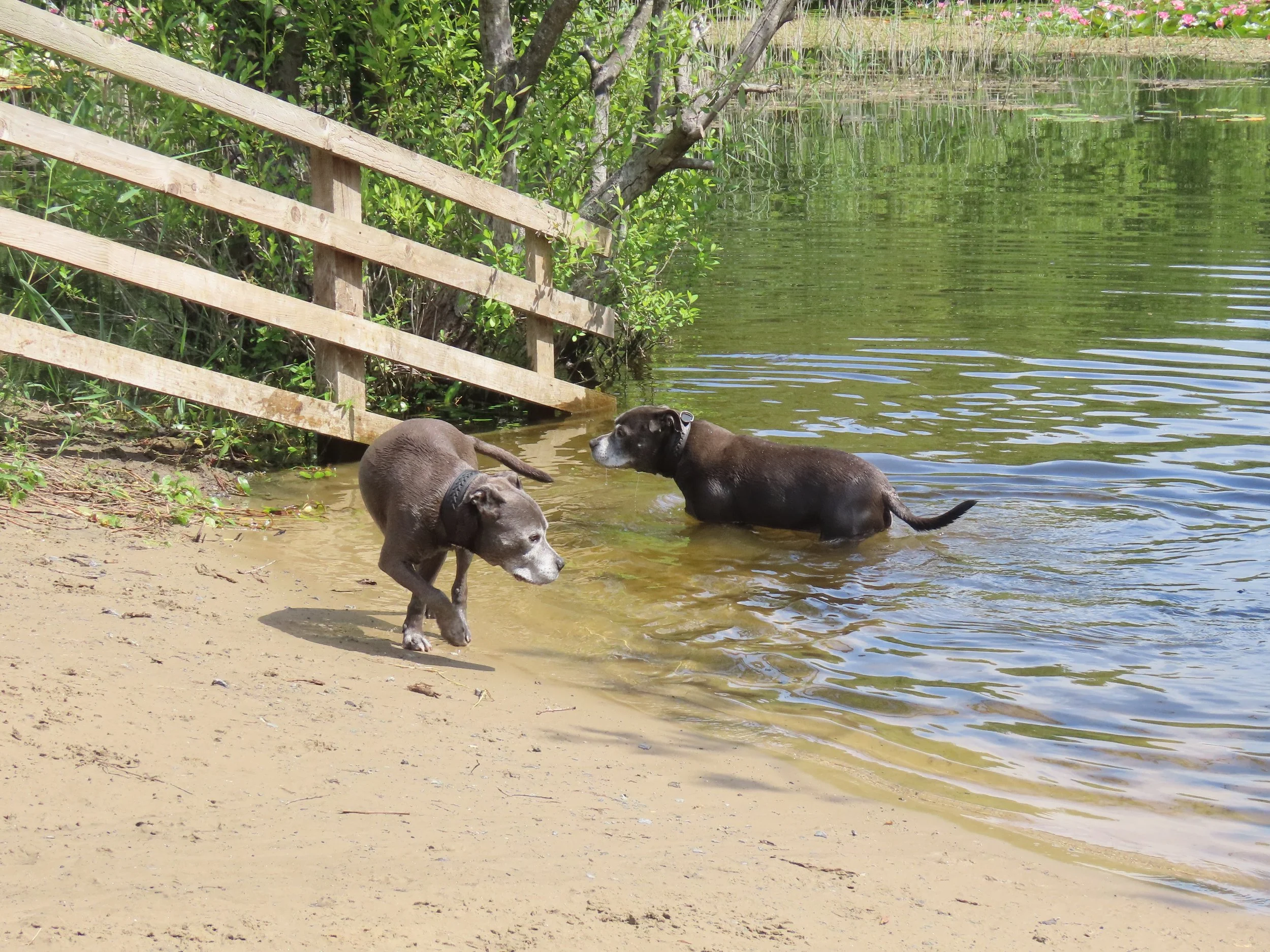 pembrey-country-park-visit_53891464971_o.jpg