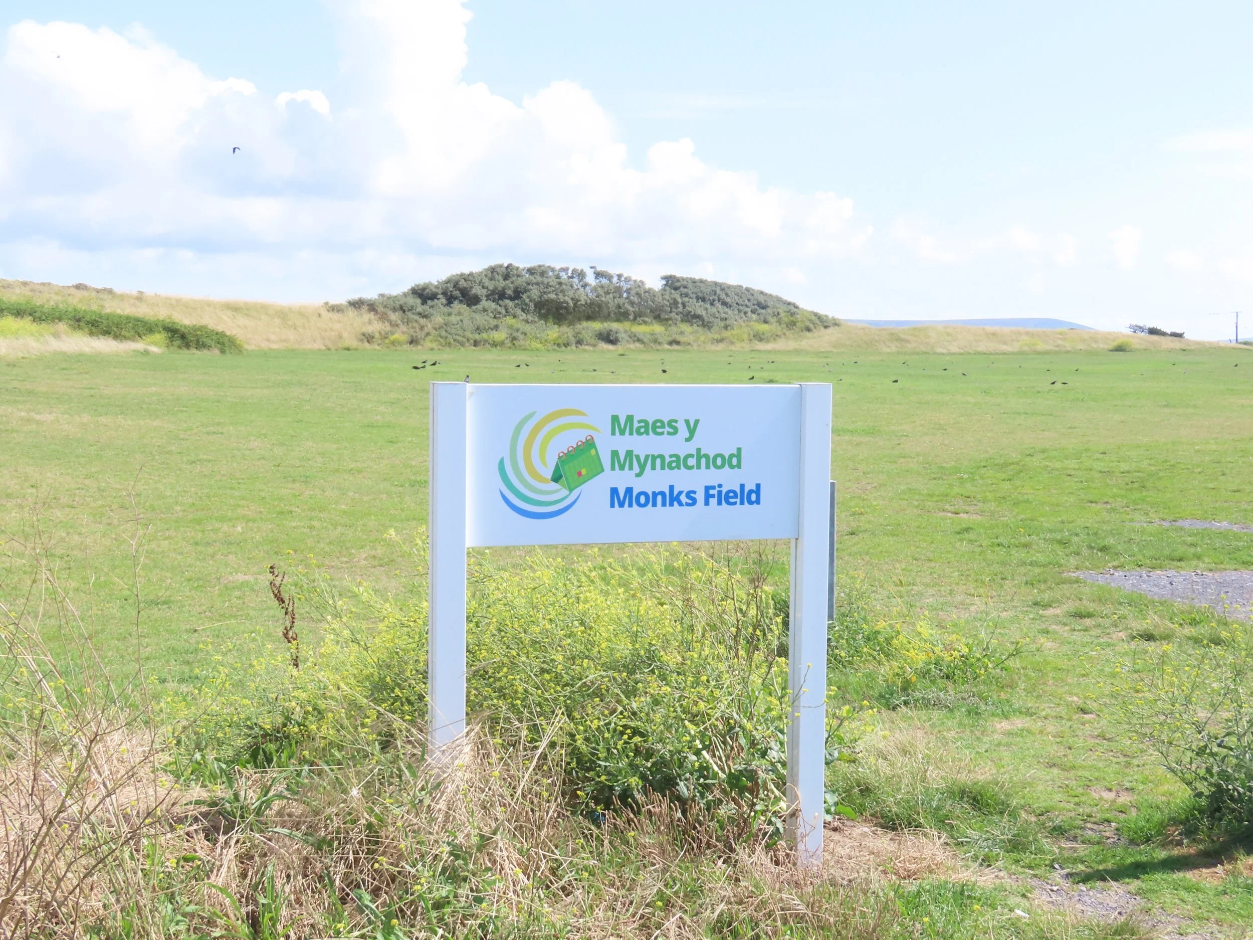 pembrey-country-park-visit_53891702888_o.jpg