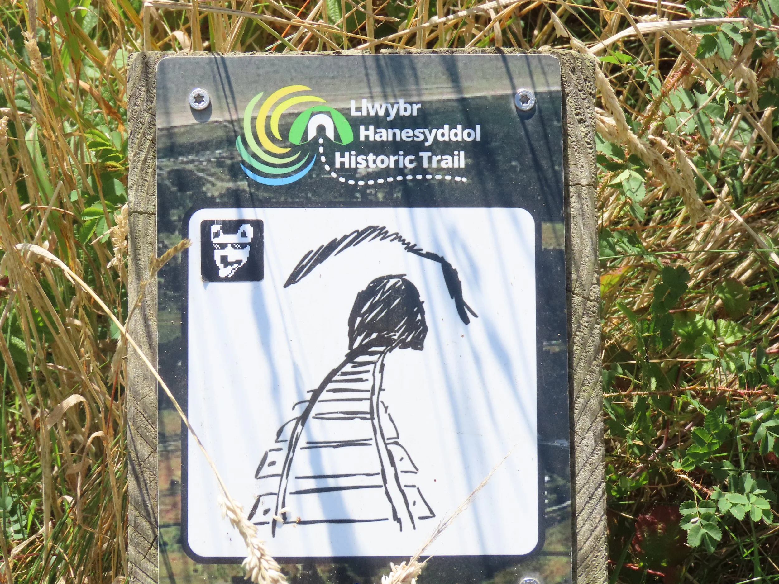 pembrey-country-park-visit_53891702913_o.jpg