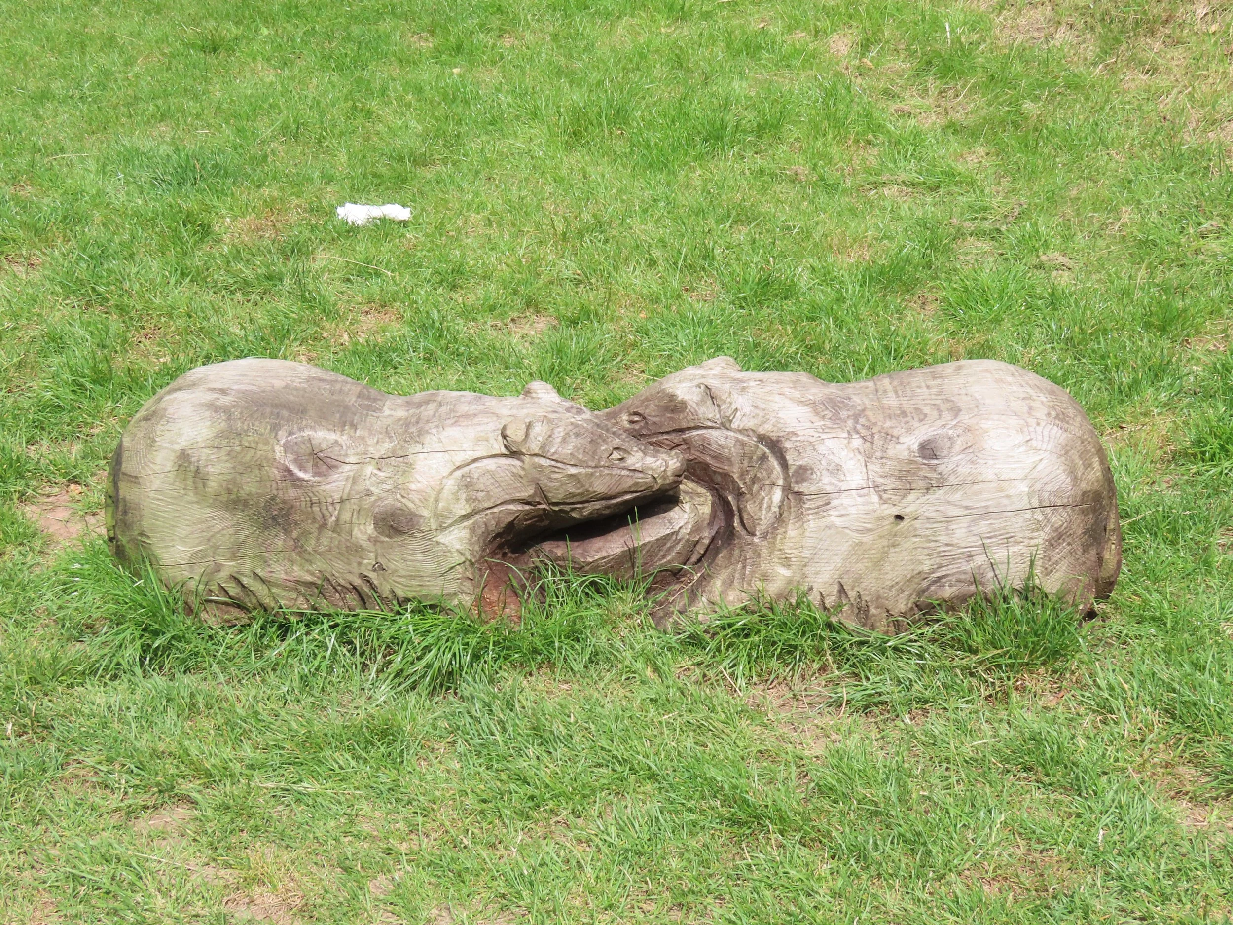 pembrey-country-park-visit_53891799444_o.jpg