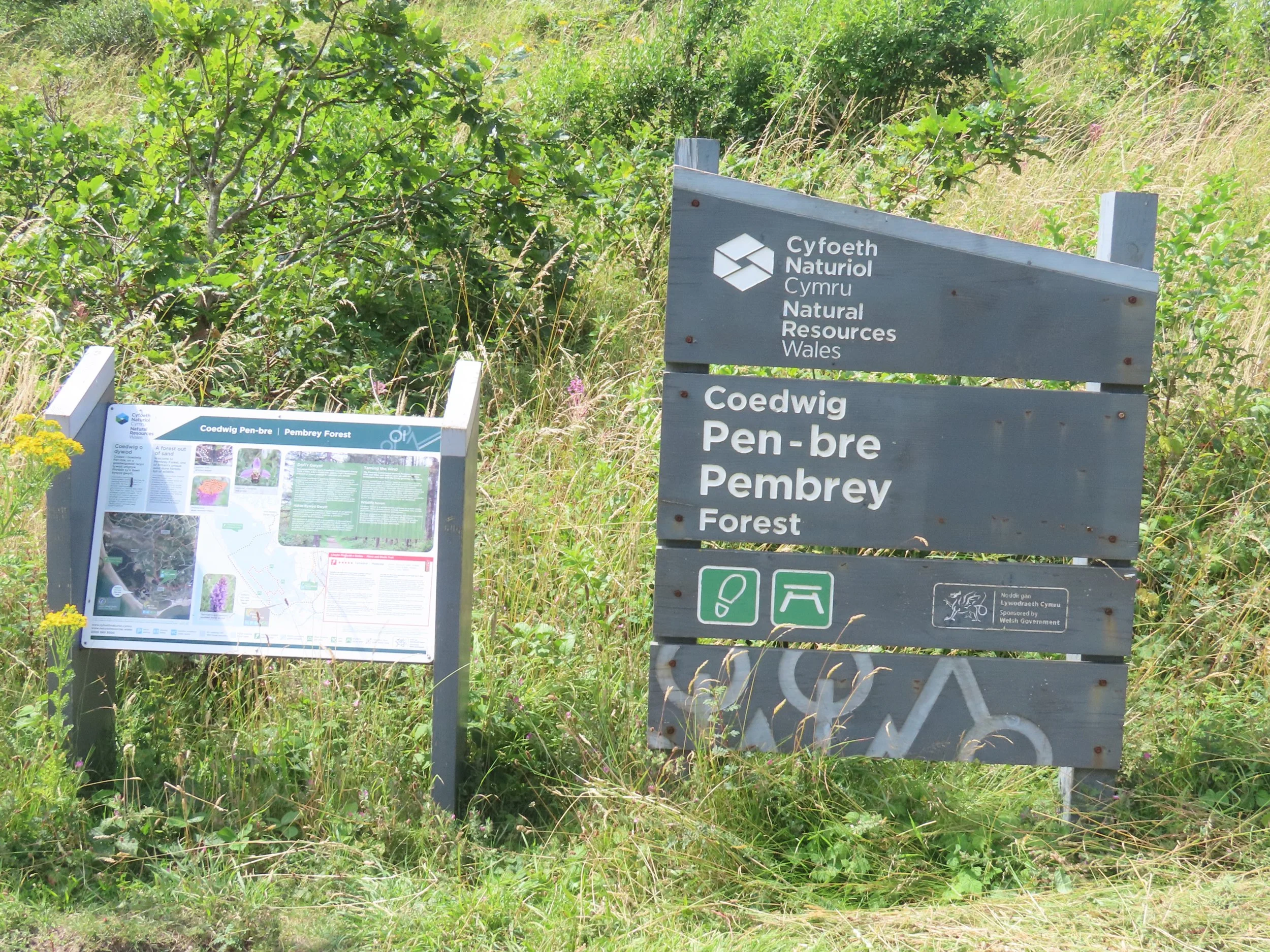 pembrey-country-park-visit_53891801359_o.jpg