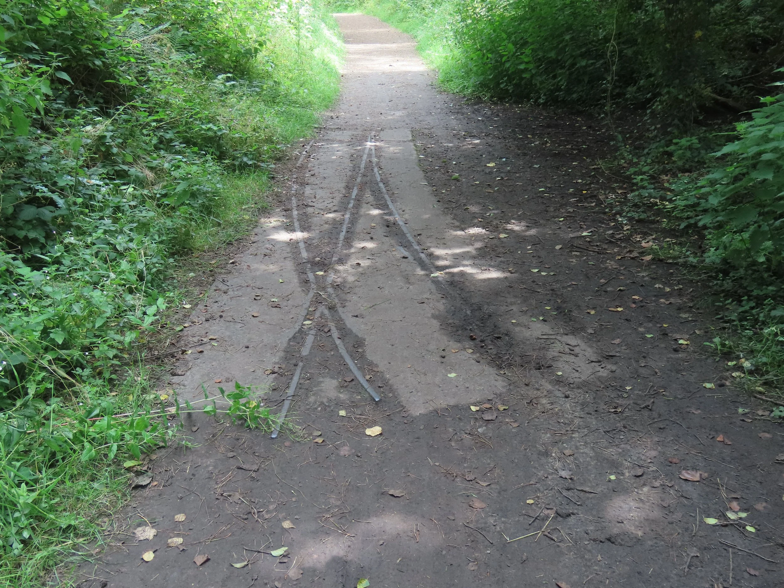 pembrey-country-park-visit_53891880395_o.jpg