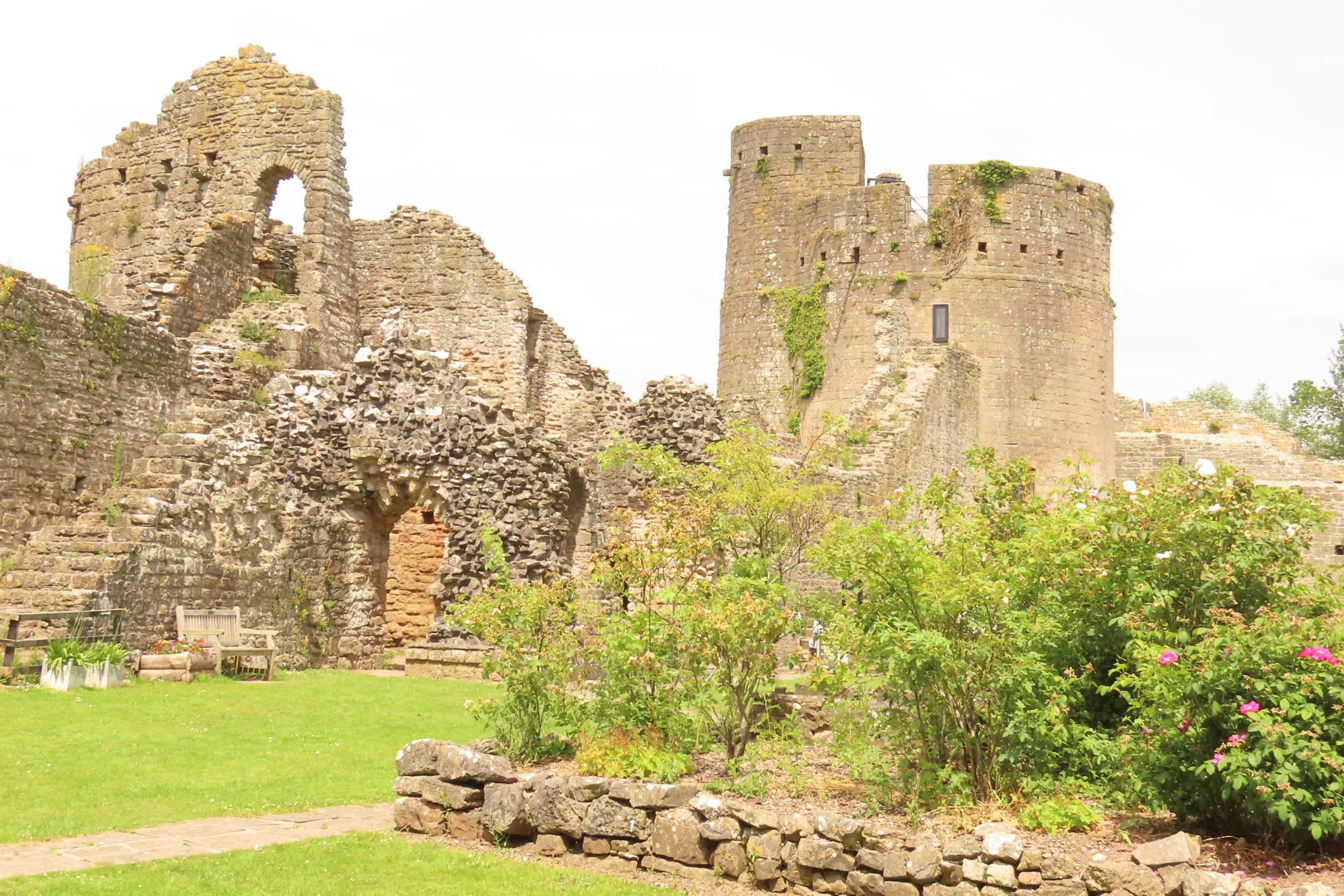 around-caldicot-castle_53832232187_o.jpg