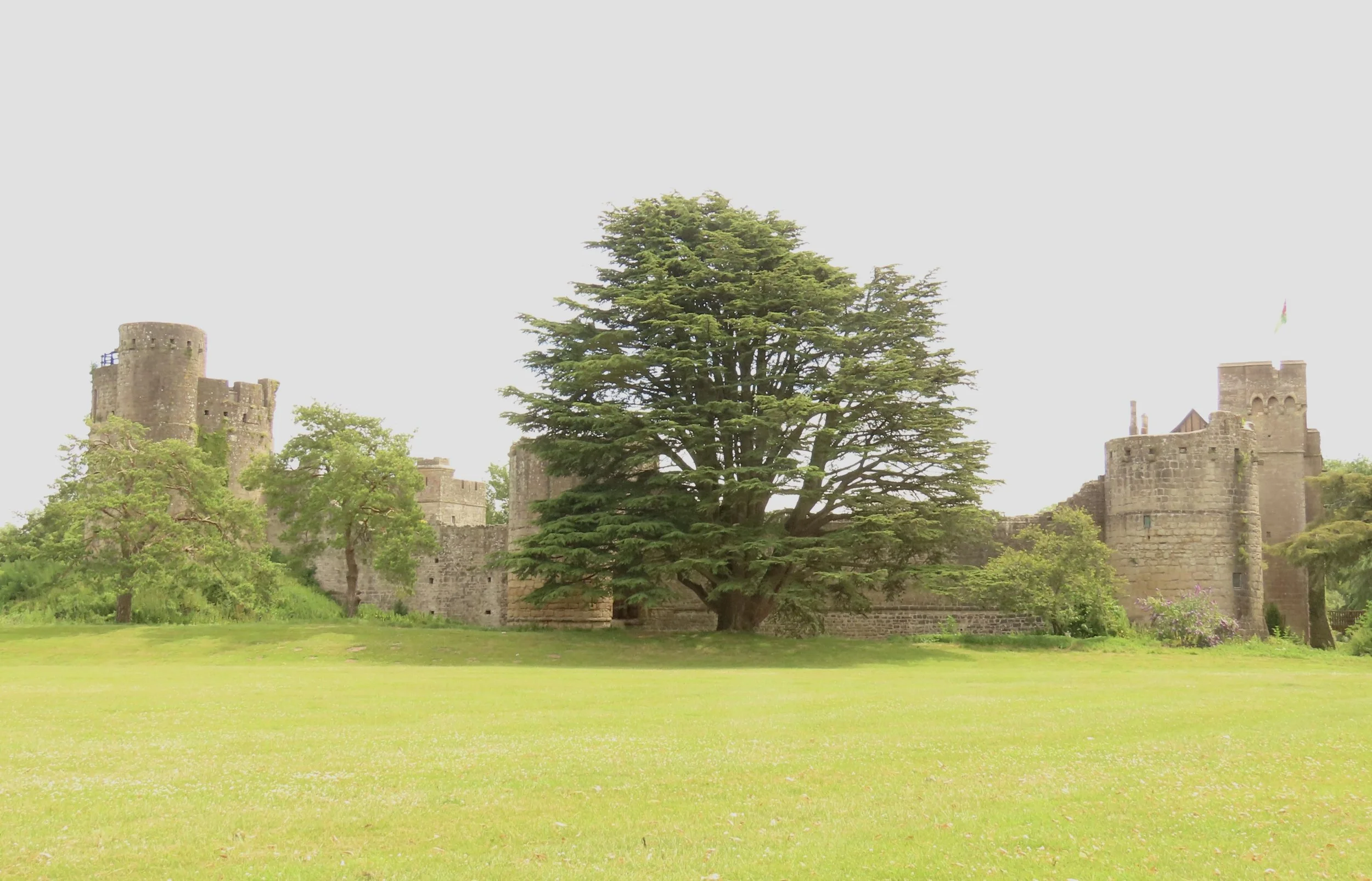 around-caldicot-castle_53833385308_o.jpg