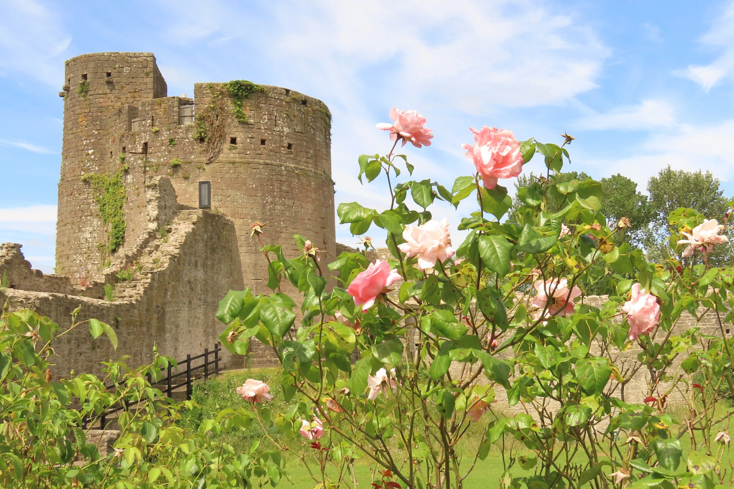 around-caldicot-castle_53833385903_o.jpg