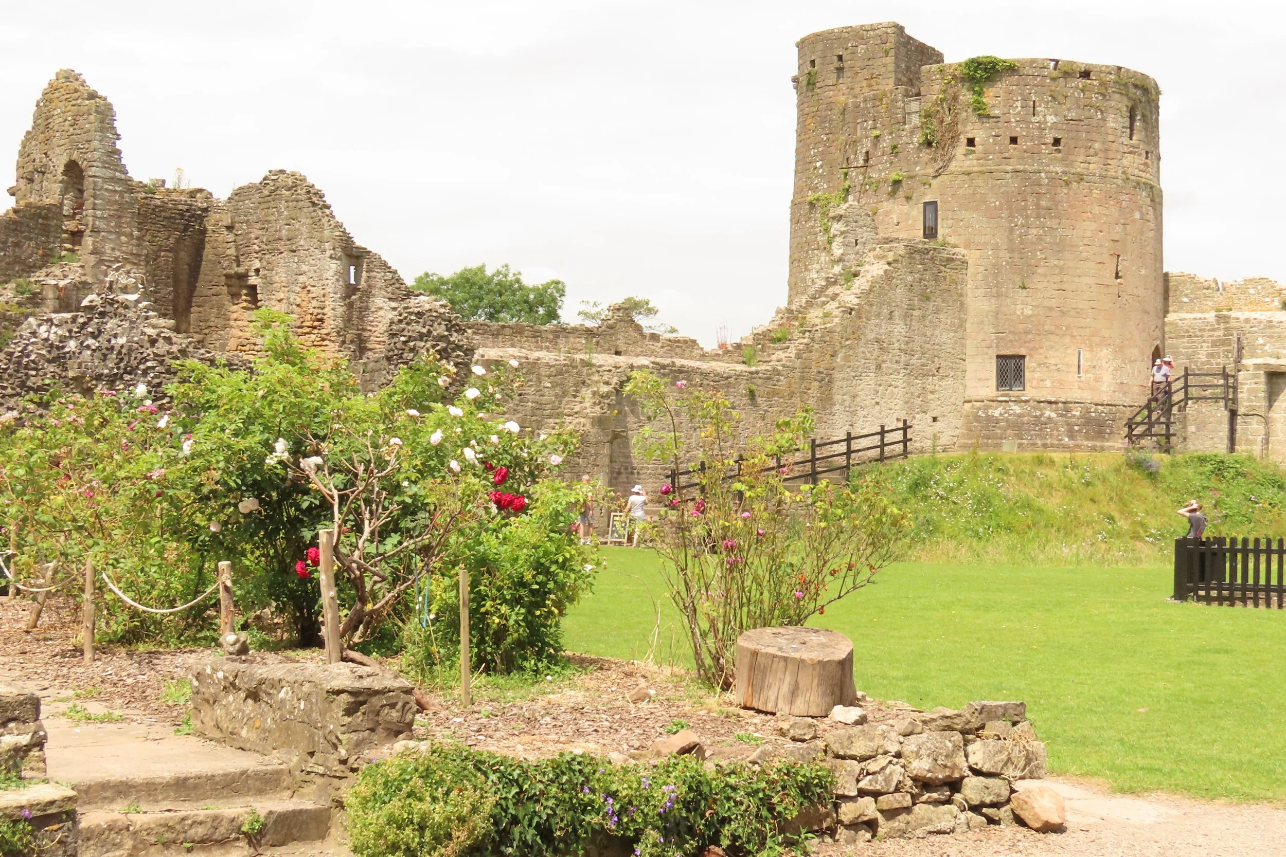 around-caldicot-castle_53833482904_o.jpg