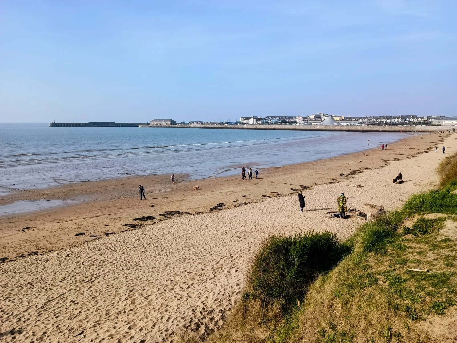 A sandy beach with a few people walking or sitting, a grassy area with some bushes in the foreground, a calm ocean, and a distant pier and town under a clear blue sky.