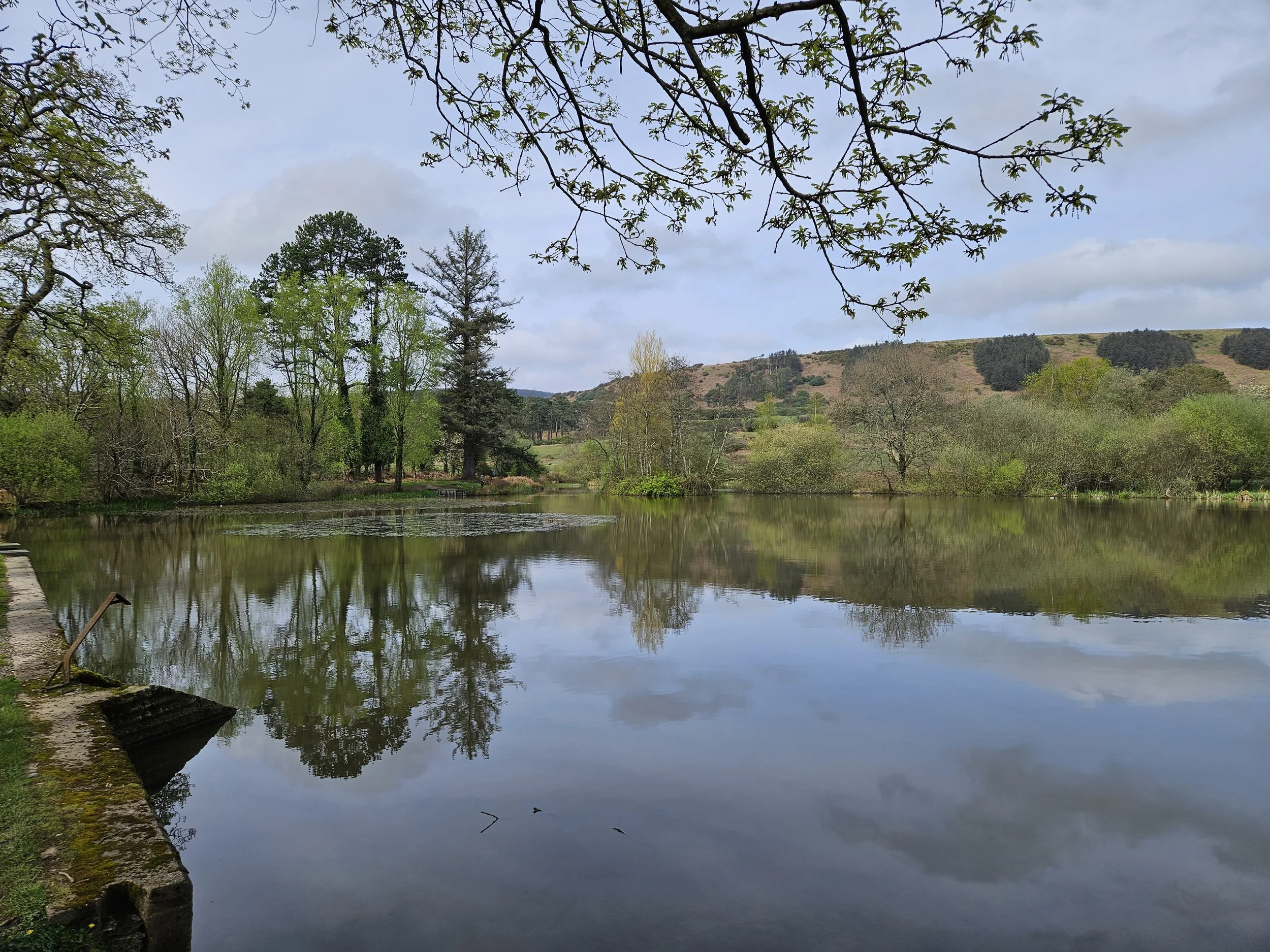 A serene lake at Margam Park surrounded by trees with fresh green leaves, a mossy stone dock on the left, and rolling hills in the background under a partly cloudy sky.