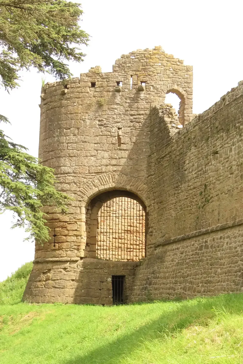 Ancient stone castle ruins with a rounded tower, arched windows, and iron bars, situated on a grassy hill with trees nearby.