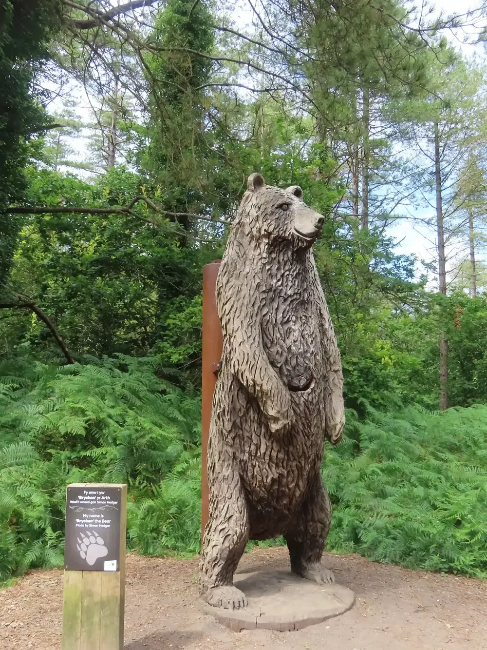 Wooden sculpture of a standing bear in a forested area with green trees and ferns in the background.