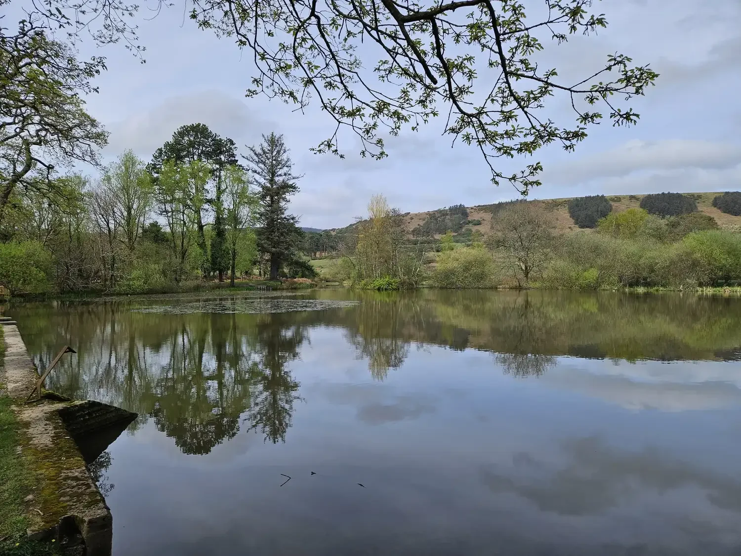 A peaceful lake surrounded by trees with hills in the background, under a partly cloudy sky.