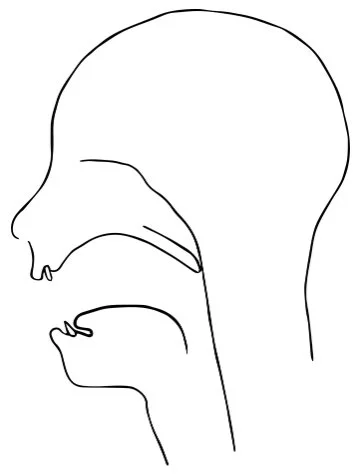 How to Pronounce H in a British Accent: Master the Sound Easily