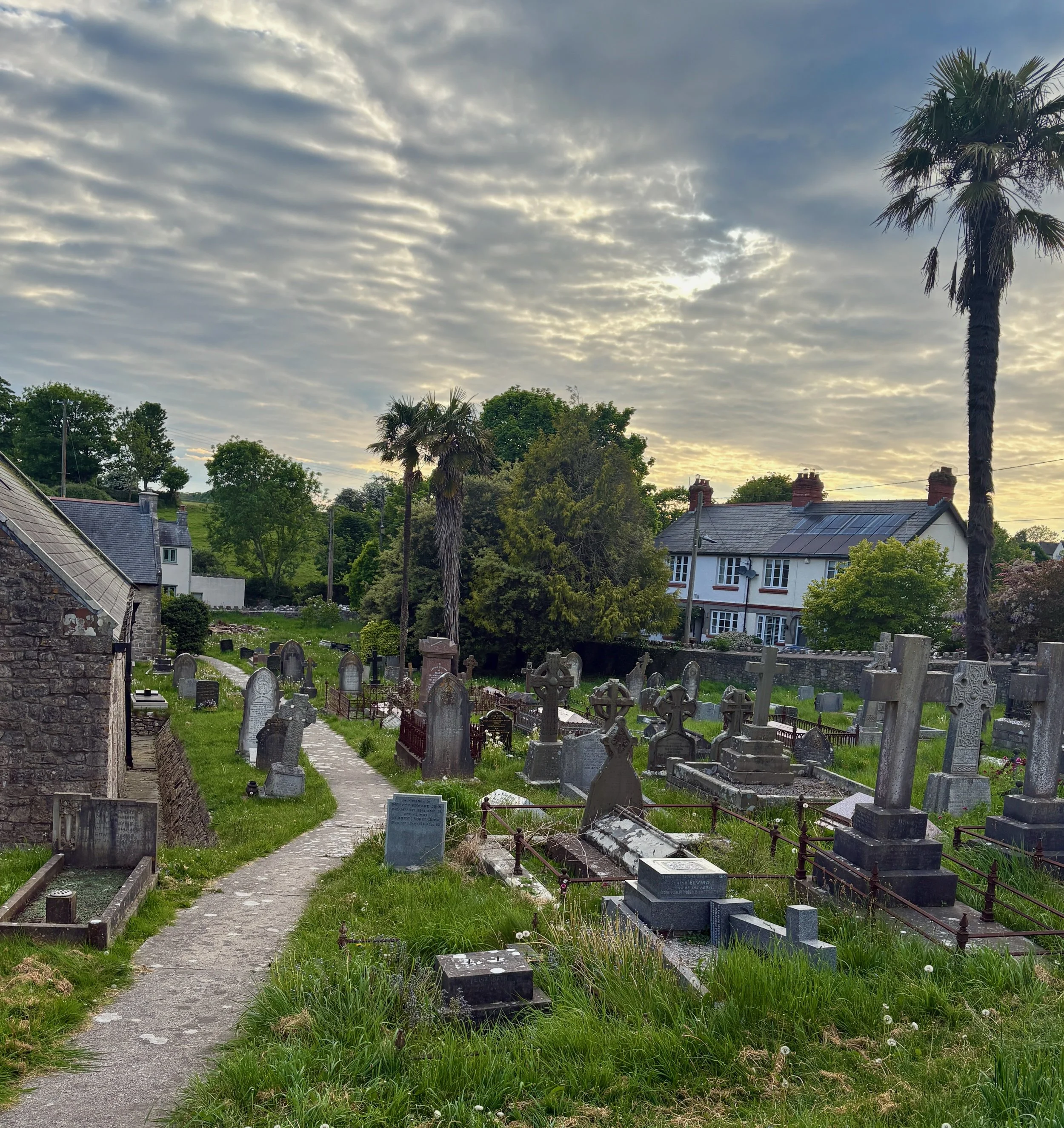 IMG_7731.jpeg