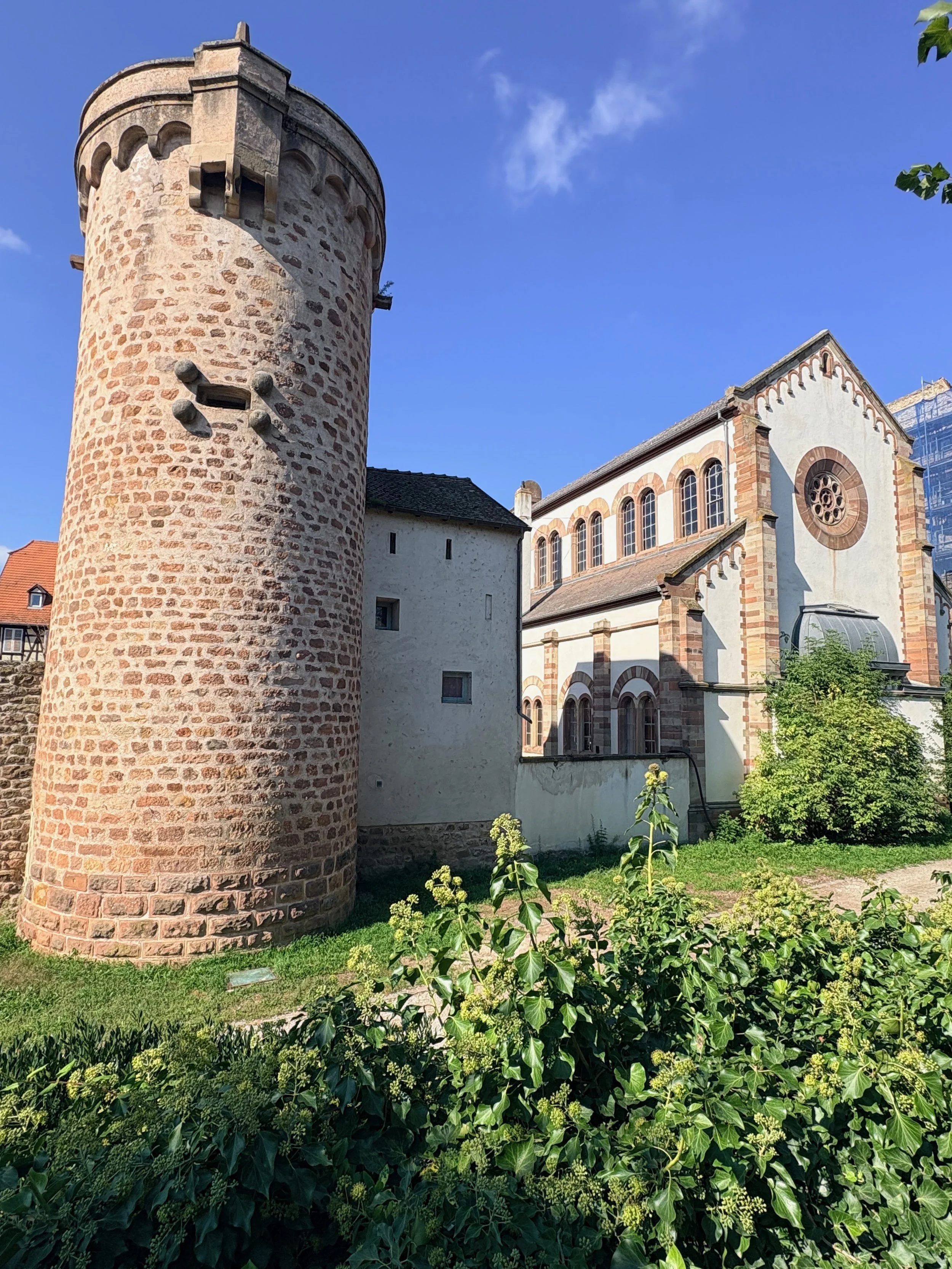 IMG_0267.jpeg