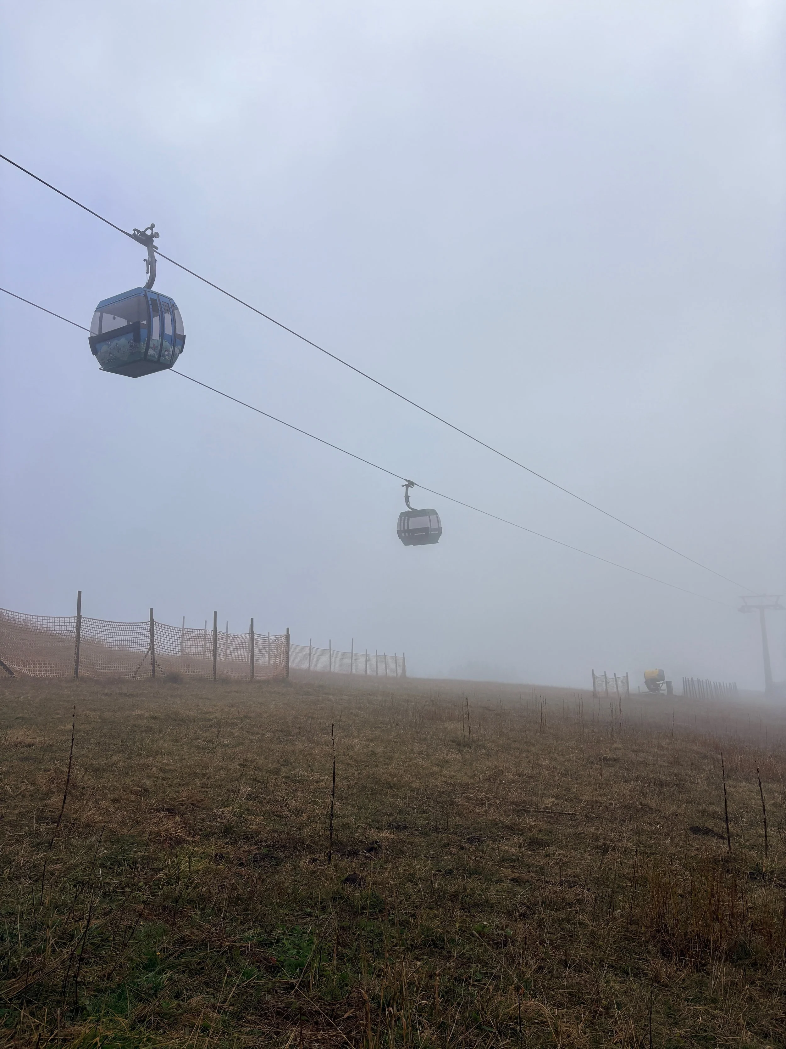 IMG_0341.jpeg
