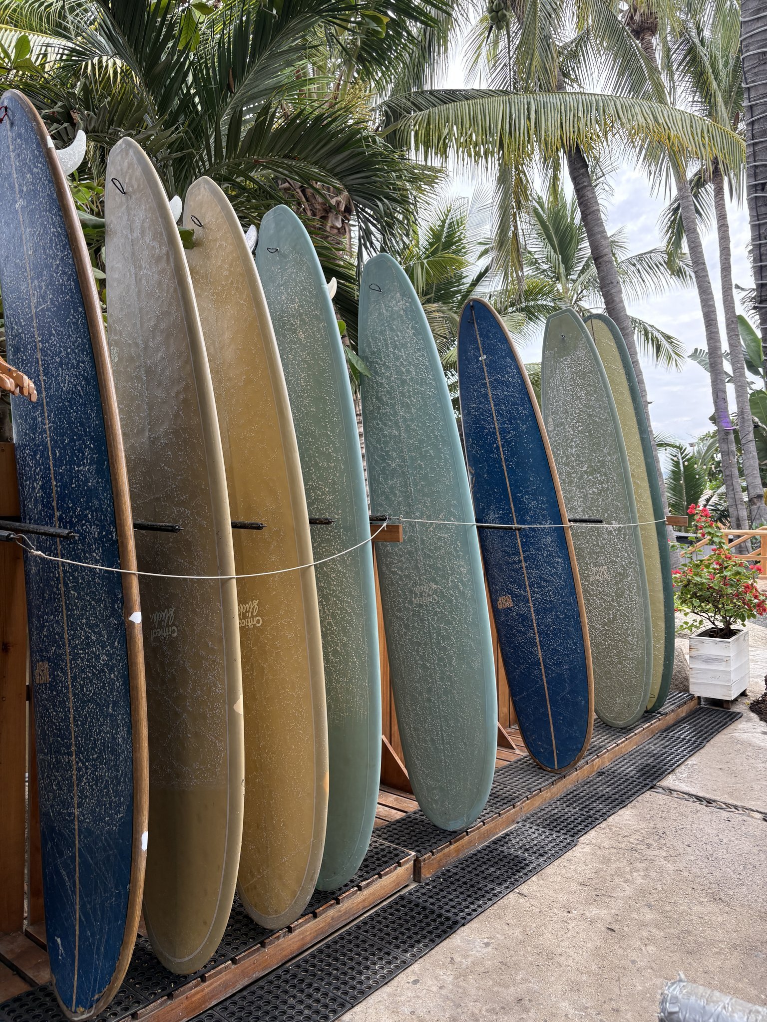 Row of colorful surfboards standing upright on a wooden rack with palm trees in the background.