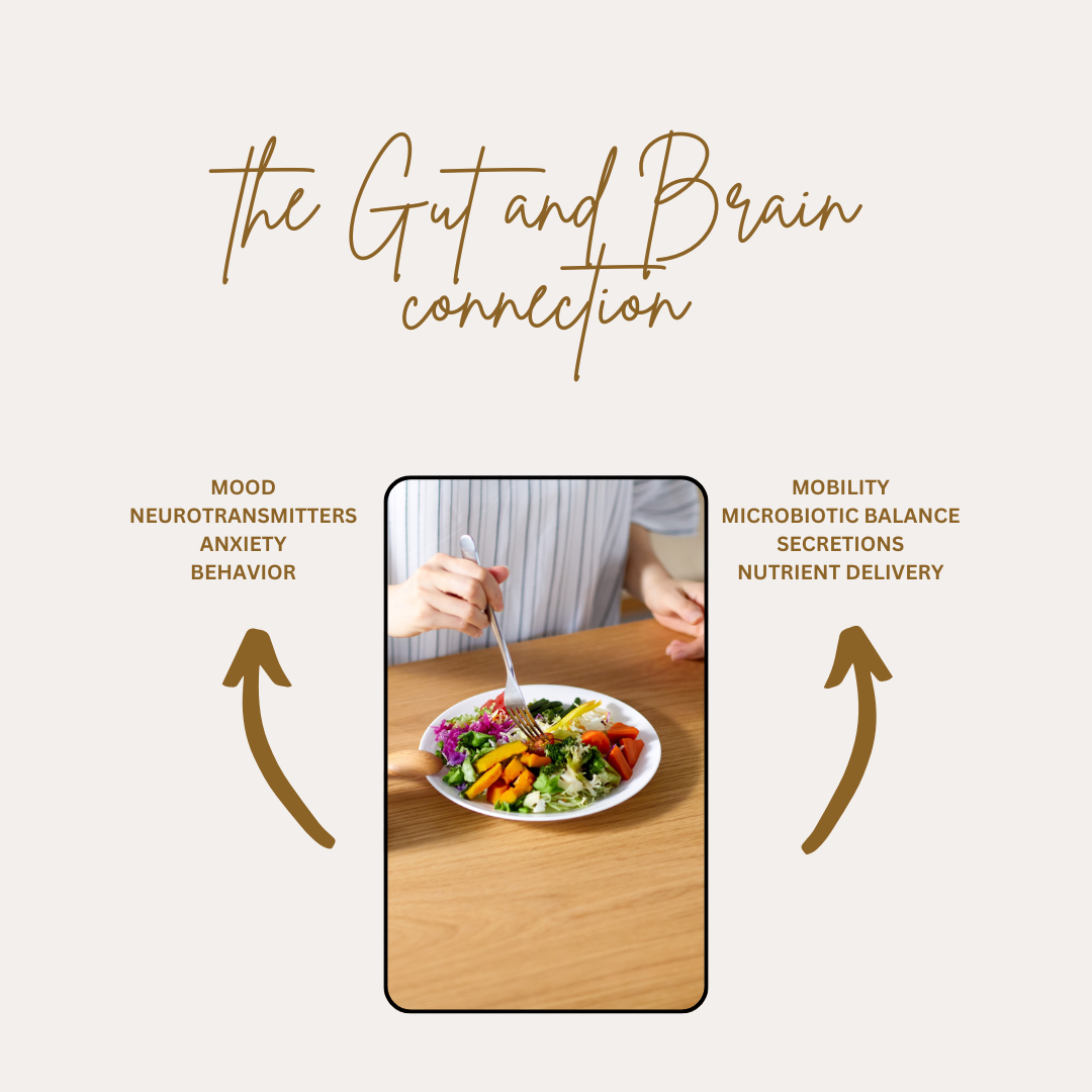 Gut Health + Anxiety Consultation