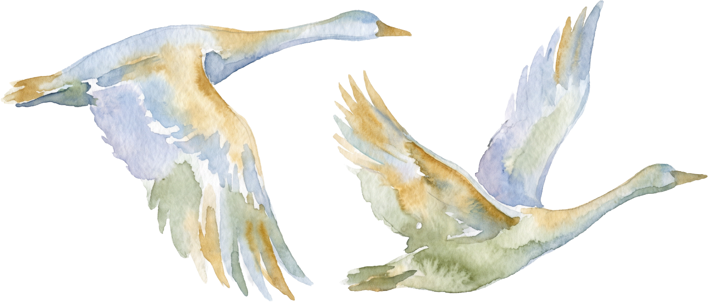 Watercolor painting of two birds flying towards each other with outstretched wings, in soft shades of blue, beige, and brown.