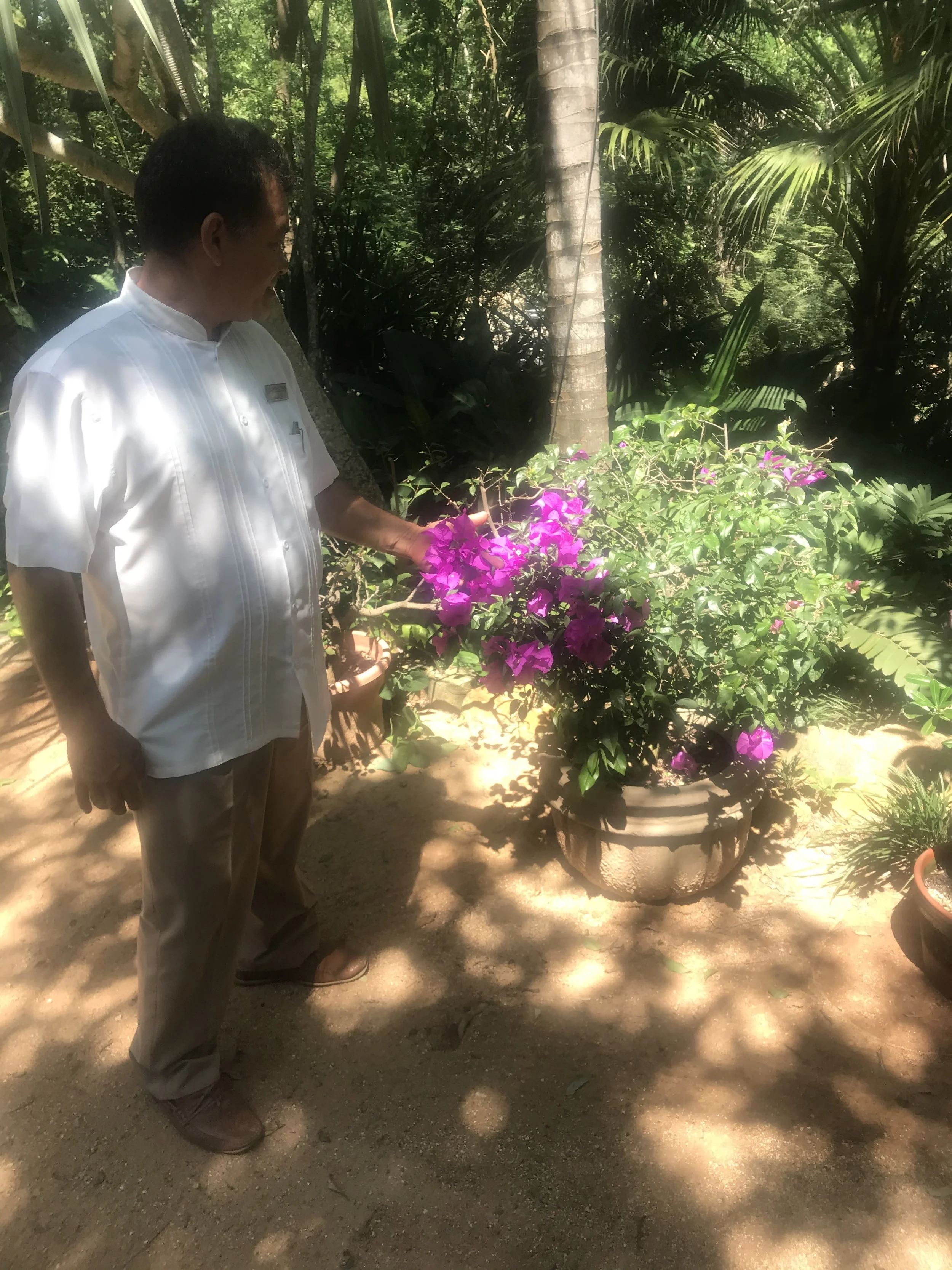 Exploring Acapulco on a solo trip, with local sights and gardens beyond the resort